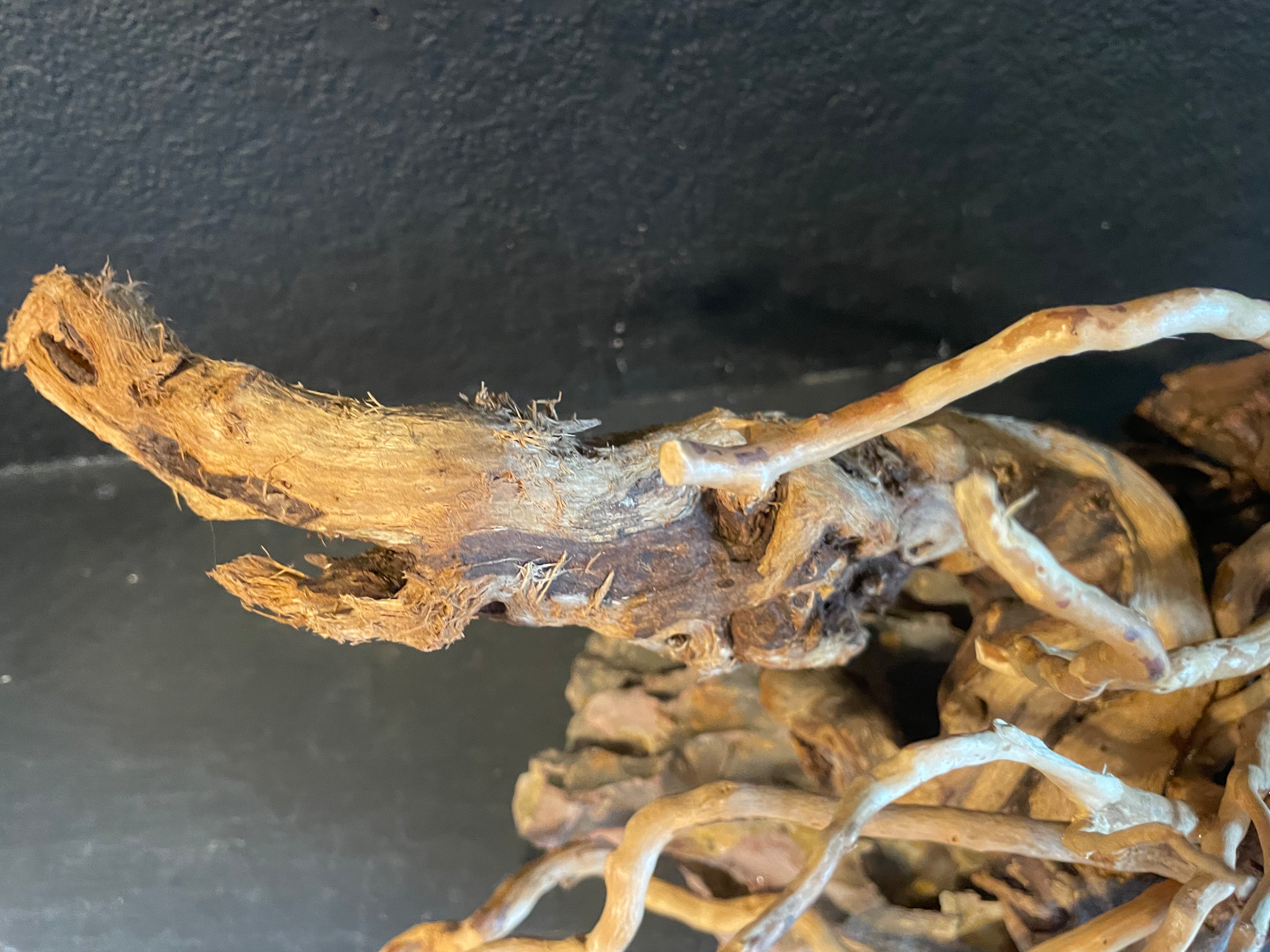 Aquarium Driftwood, Handcrafted Aquascape Unique Decoration - Windswept Hideaway