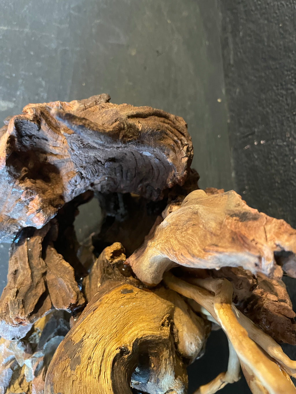 Aquarium Driftwood, Handcrafted Aquascape Unique Decoration - Windswept Hideaway
