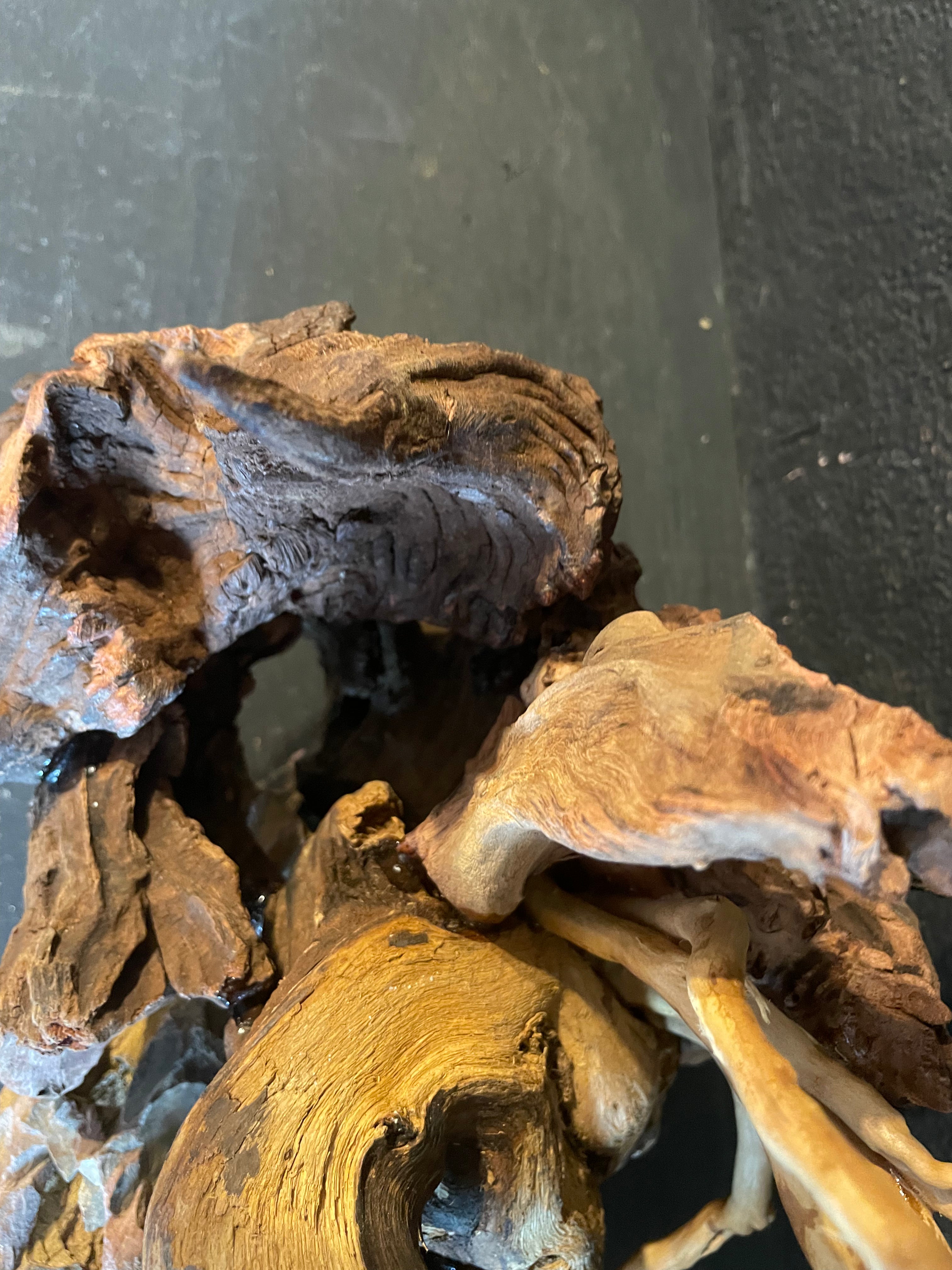 Aquarium Driftwood, Handcrafted Aquascape Unique Decoration - Windswept Hideaway
