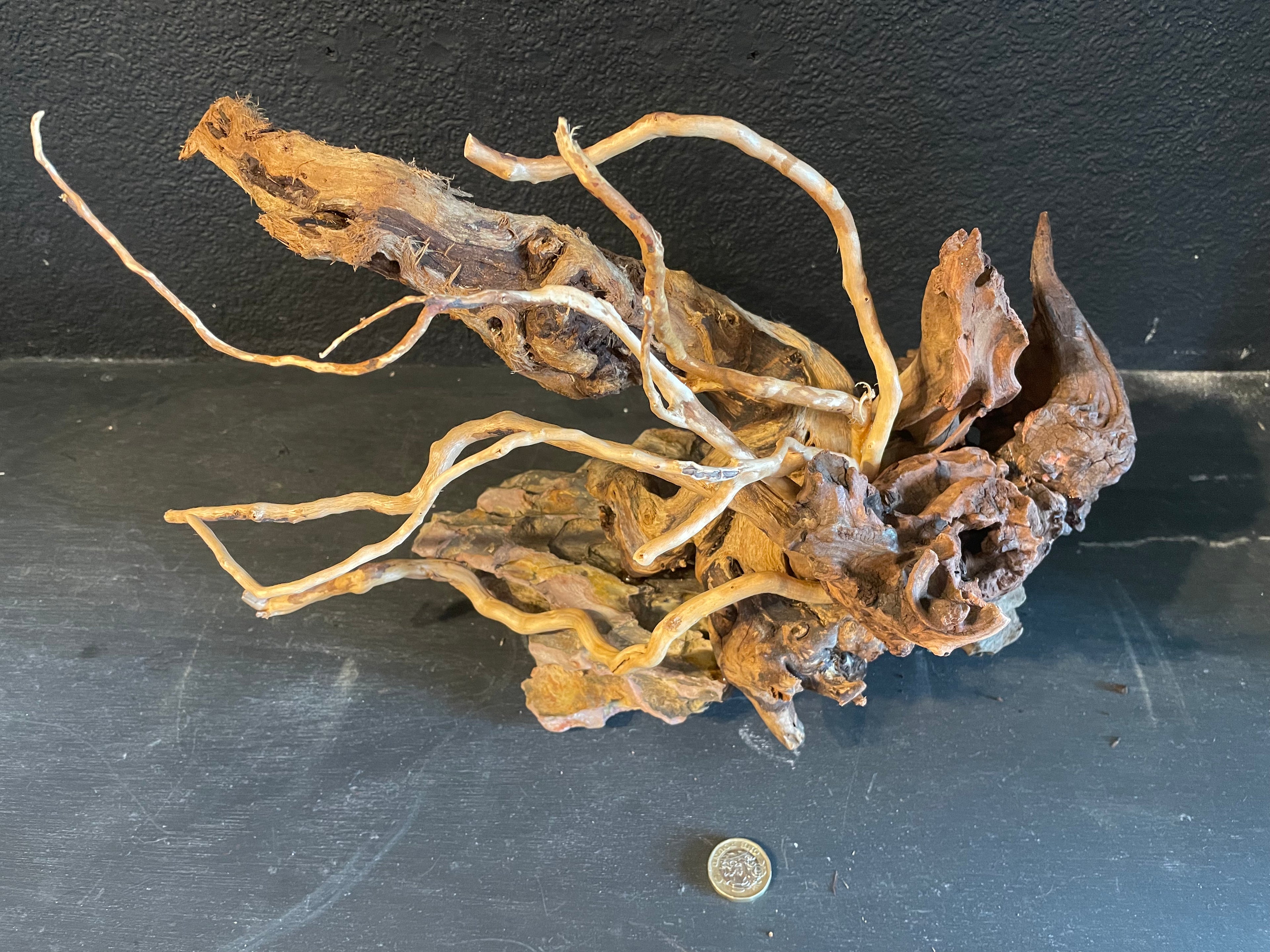 Aquarium Driftwood, Handcrafted Aquascape Unique Decoration - Windswept Hideaway