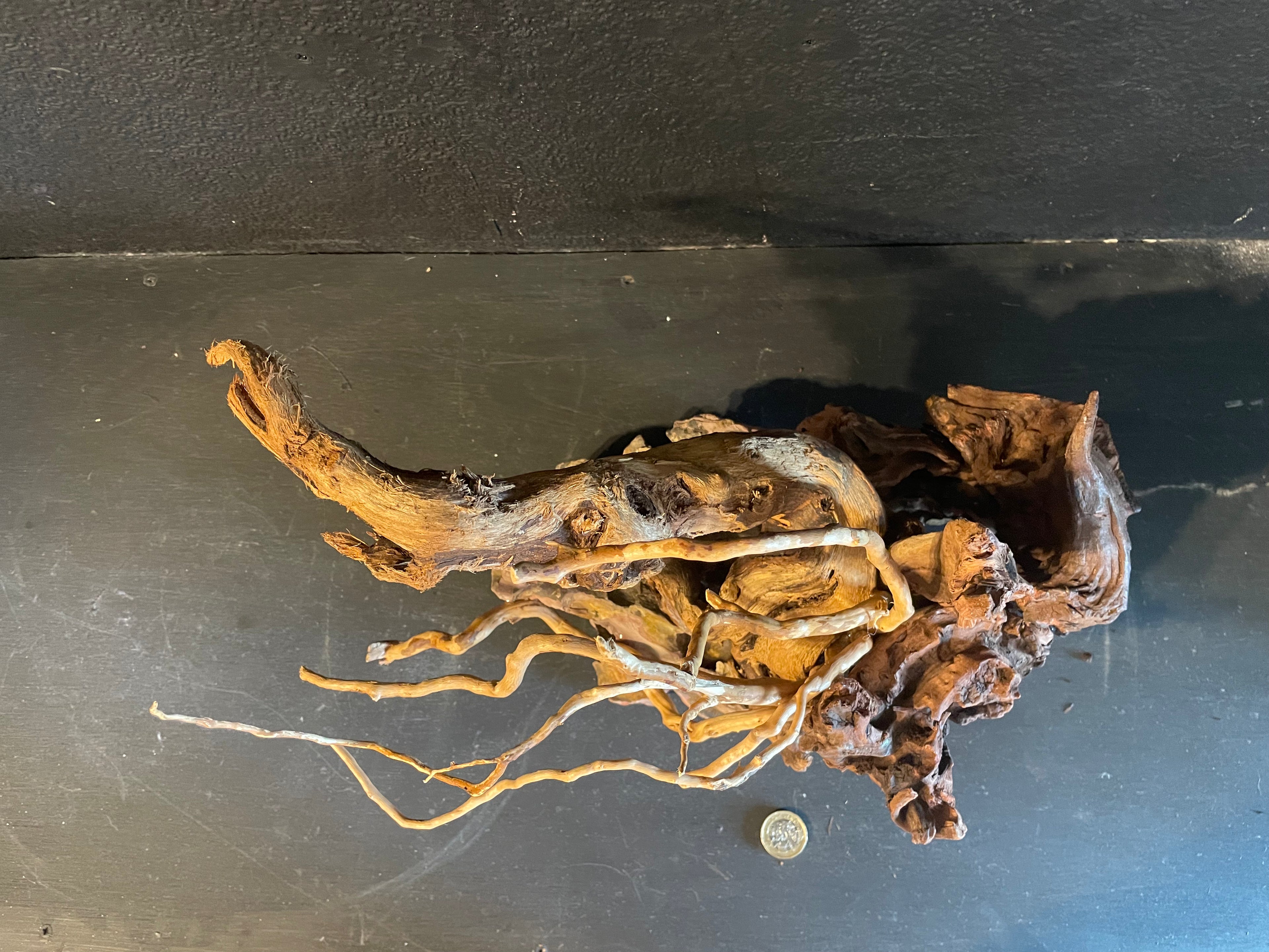 Aquarium Driftwood, Handcrafted Aquascape Unique Decoration - Windswept Hideaway