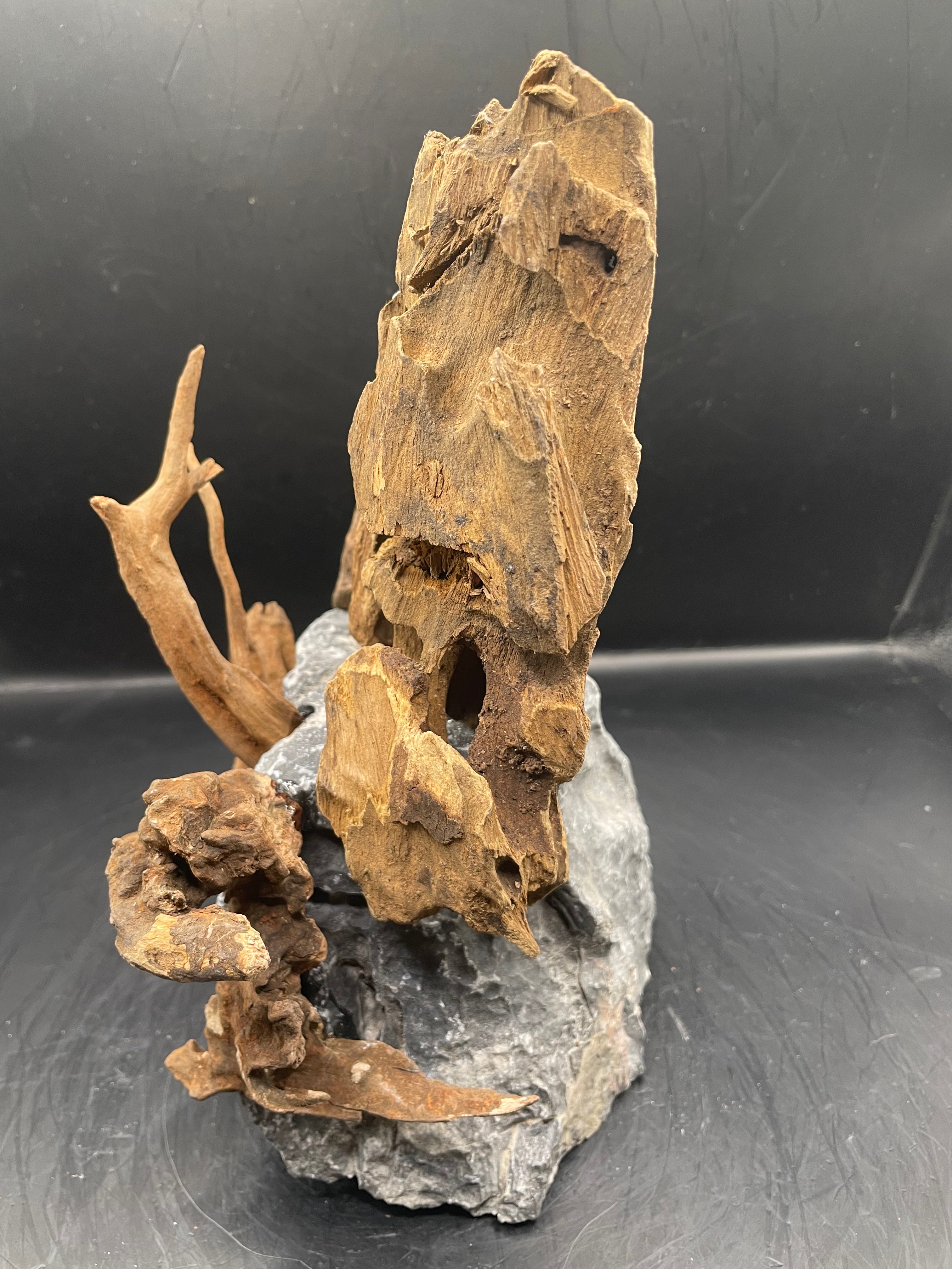 Aquarium Driftwood, Handcrafted Aquascape Unique Decoration - Twighlight Peak