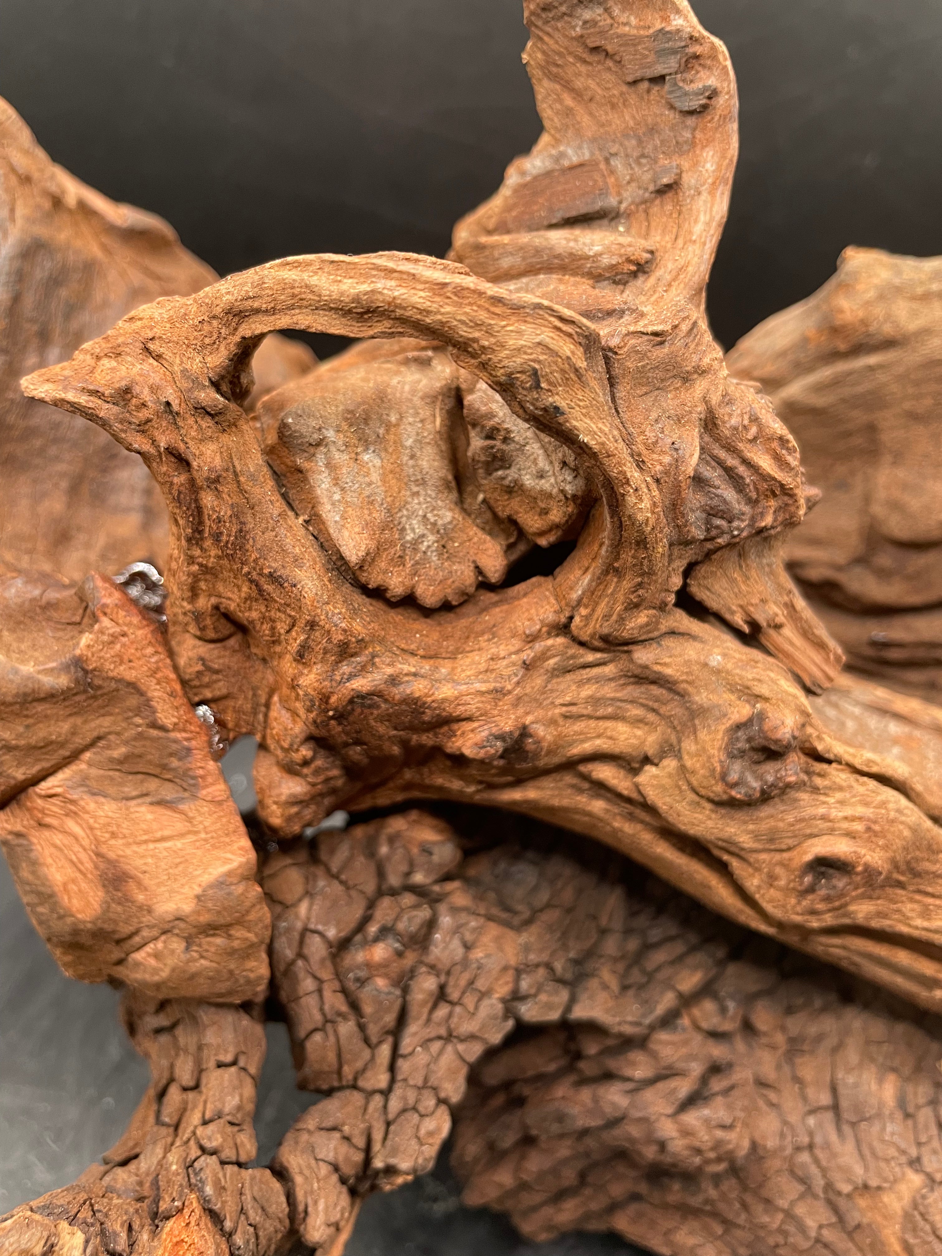 Aquarium Driftwood, Handcrafted Aquascape Unique Decoration - Dragons Entry