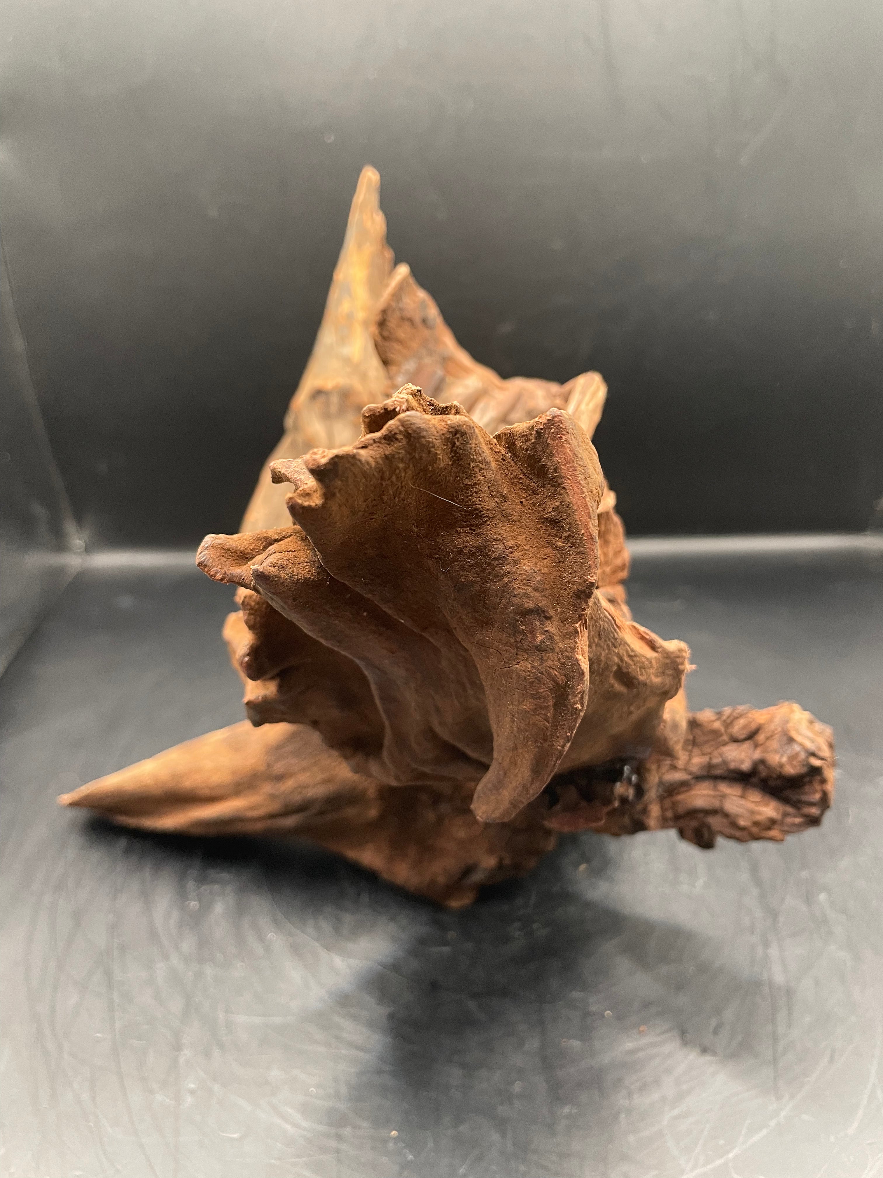 Aquarium Driftwood, Handcrafted Aquascape Unique Decoration - Dragons Entry