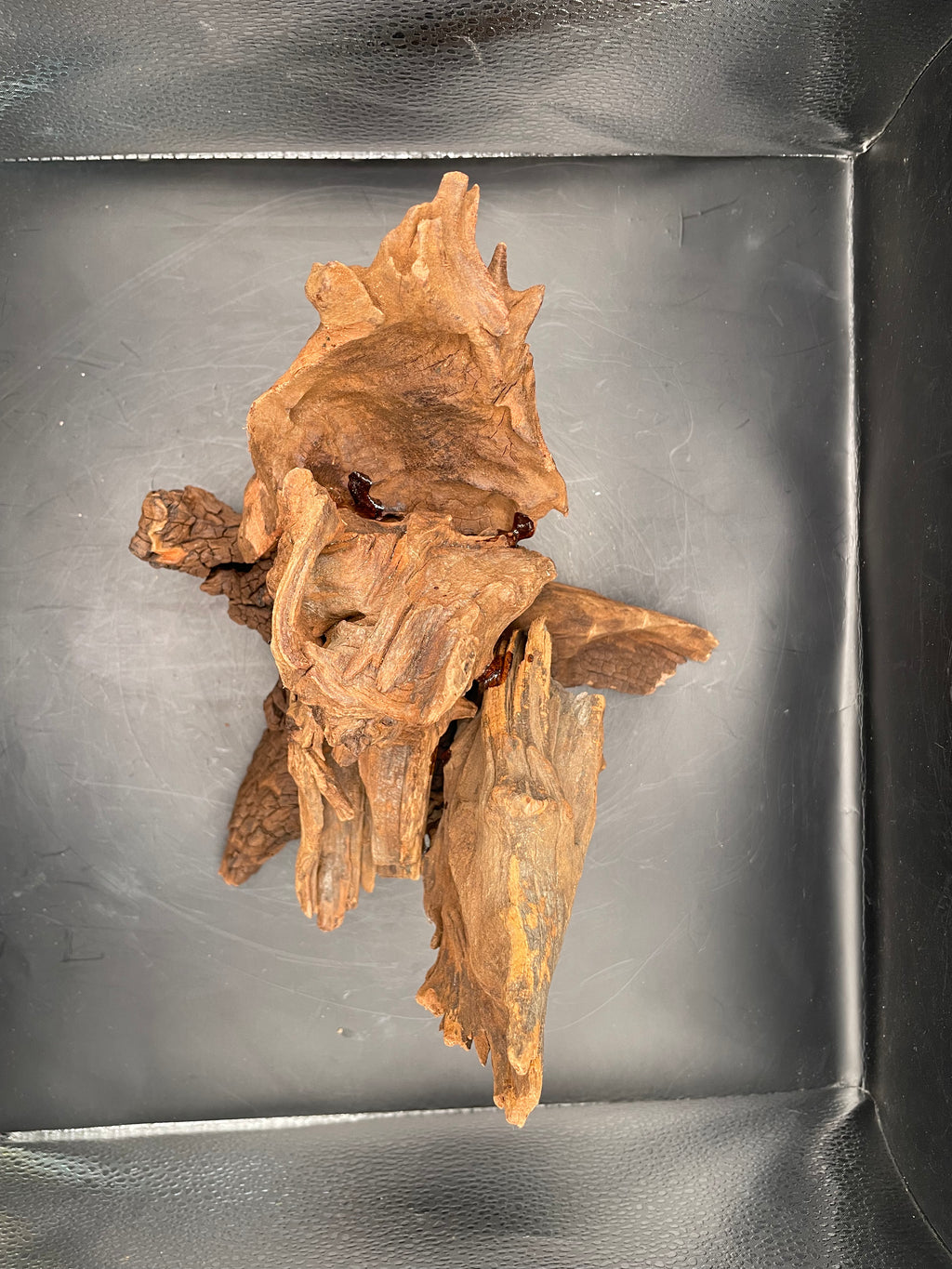 Aquarium Driftwood, Handcrafted Aquascape Unique Decoration - Dragons Entry