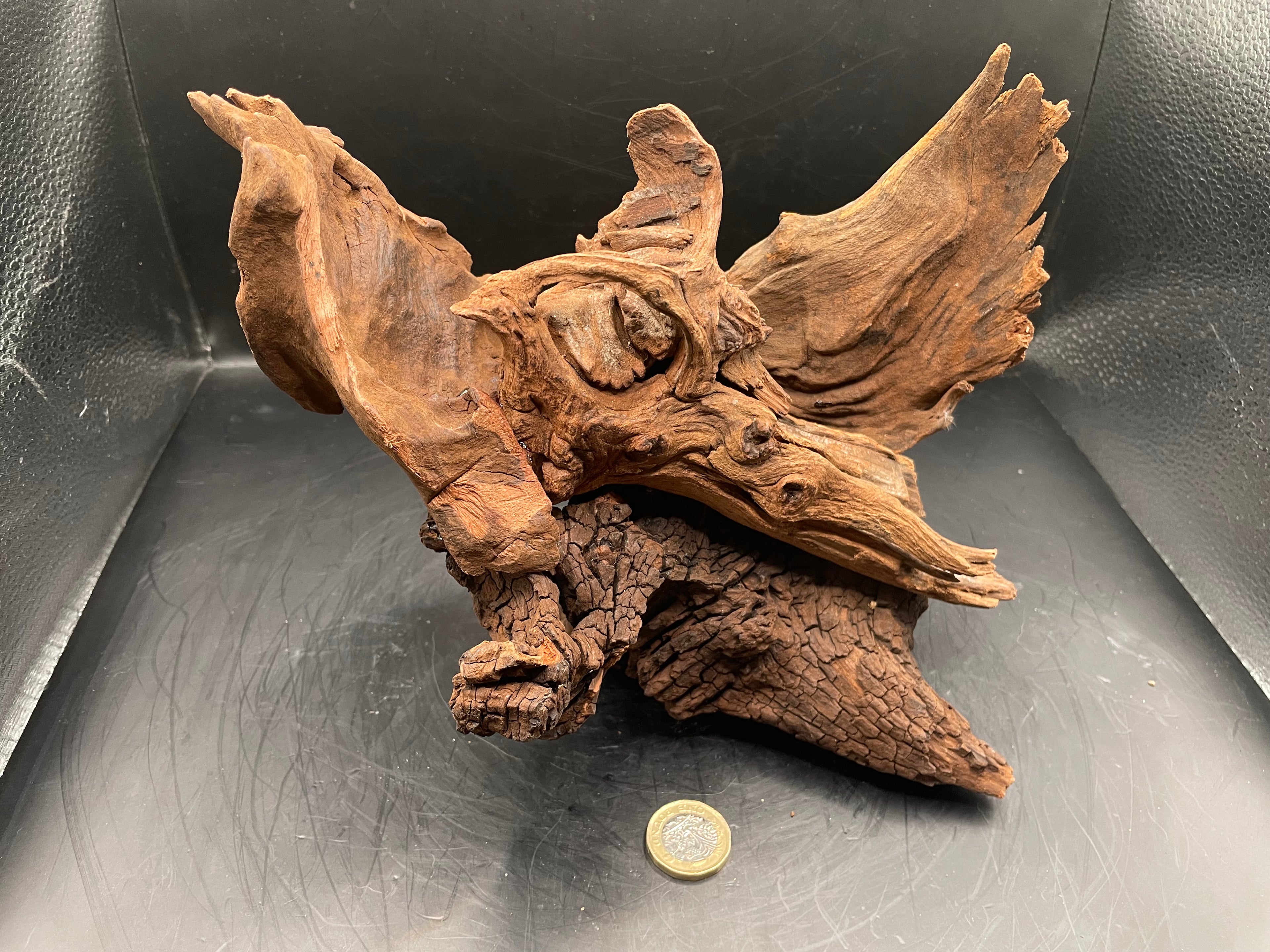 Aquarium Driftwood, Handcrafted Aquascape Unique Decoration - Dragons Entry