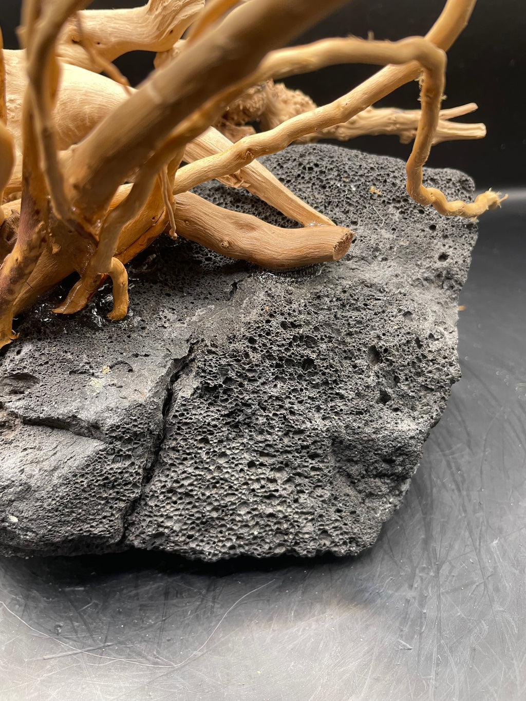 Aquarium Driftwood, Handcrafted Aquascape Unique Decoration - Peepo