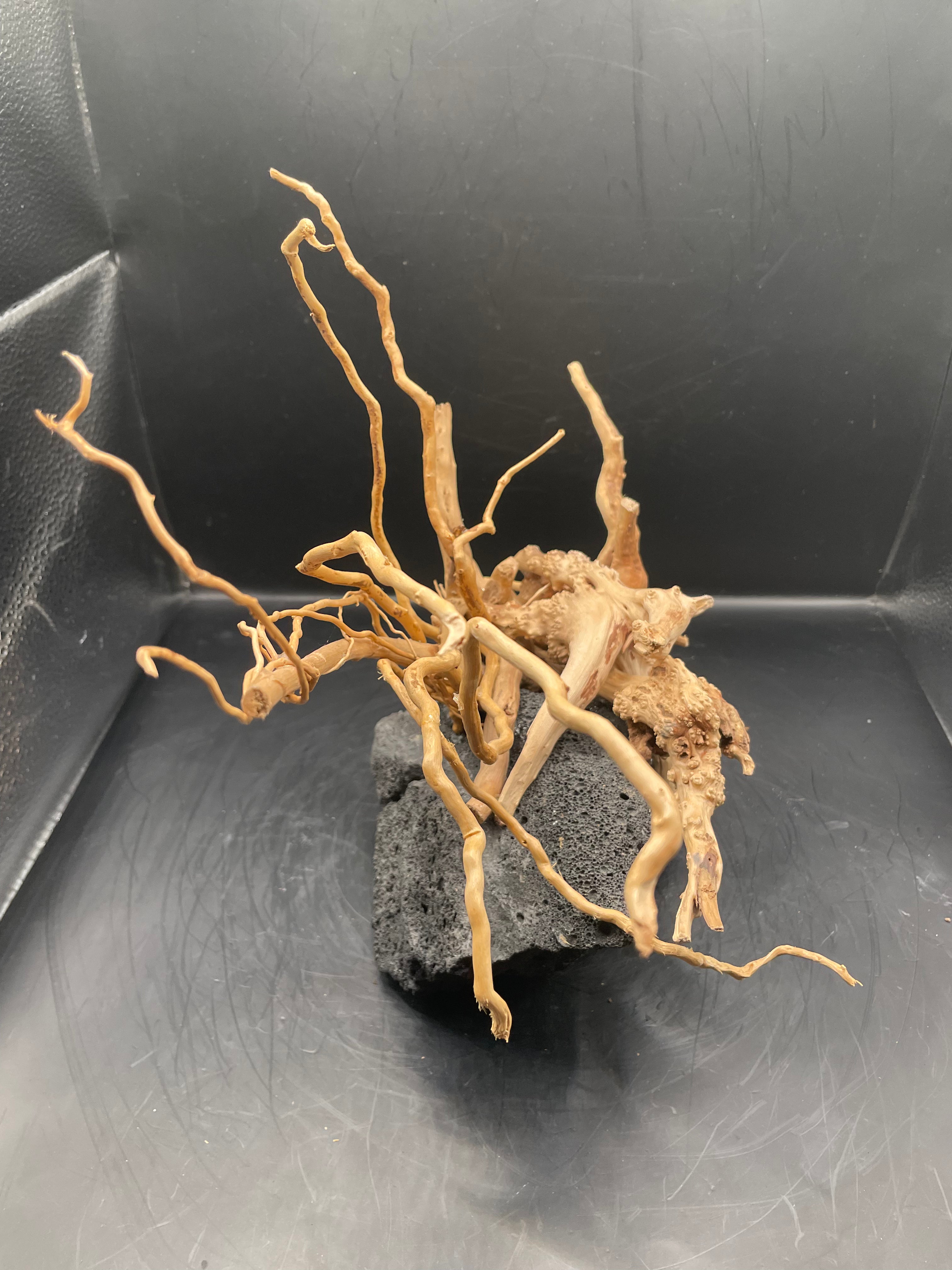 Aquarium Driftwood, Handcrafted Aquascape Unique Decoration - Peepo