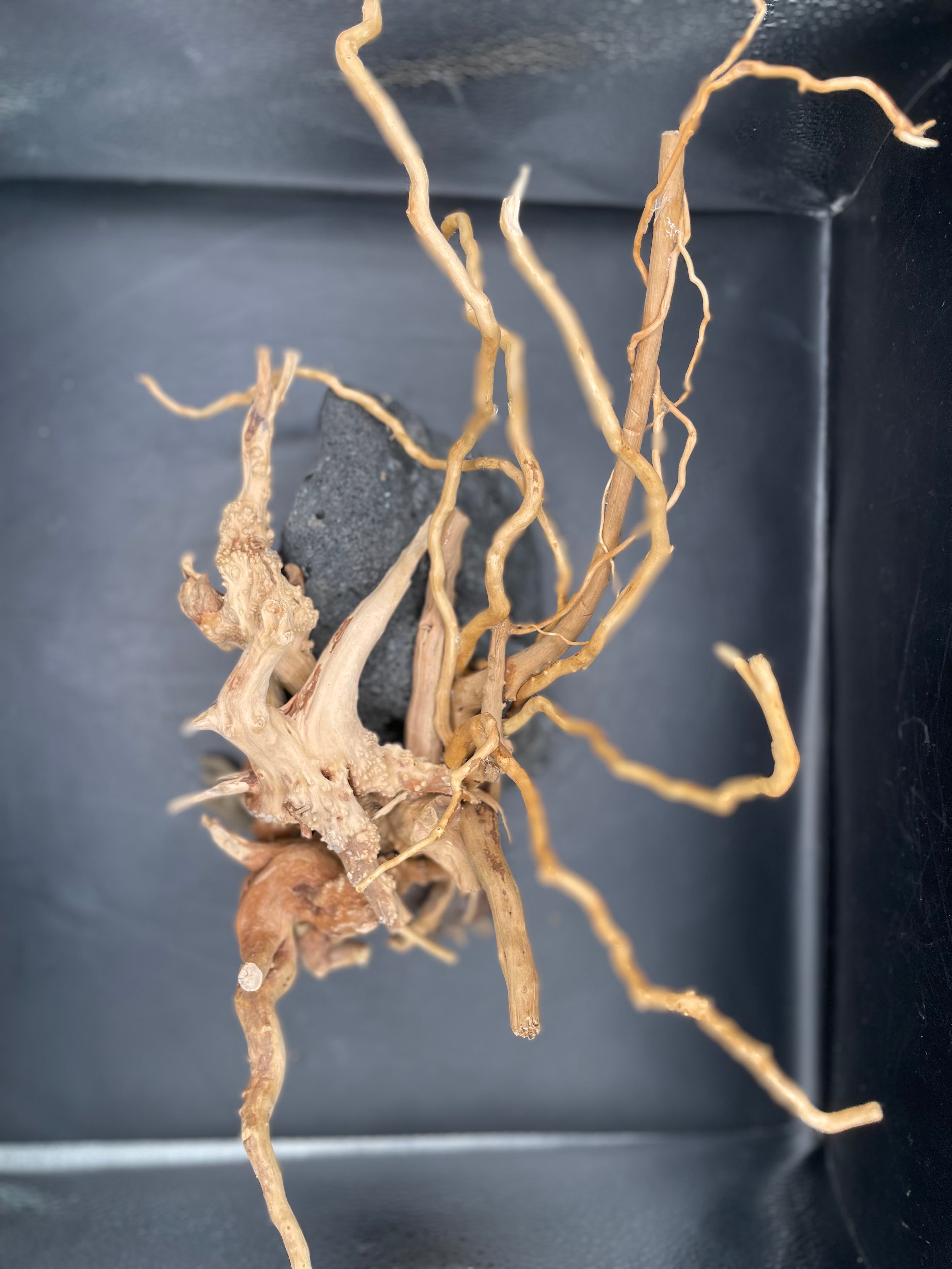 Aquarium Driftwood, Handcrafted Aquascape Unique Decoration - Peepo