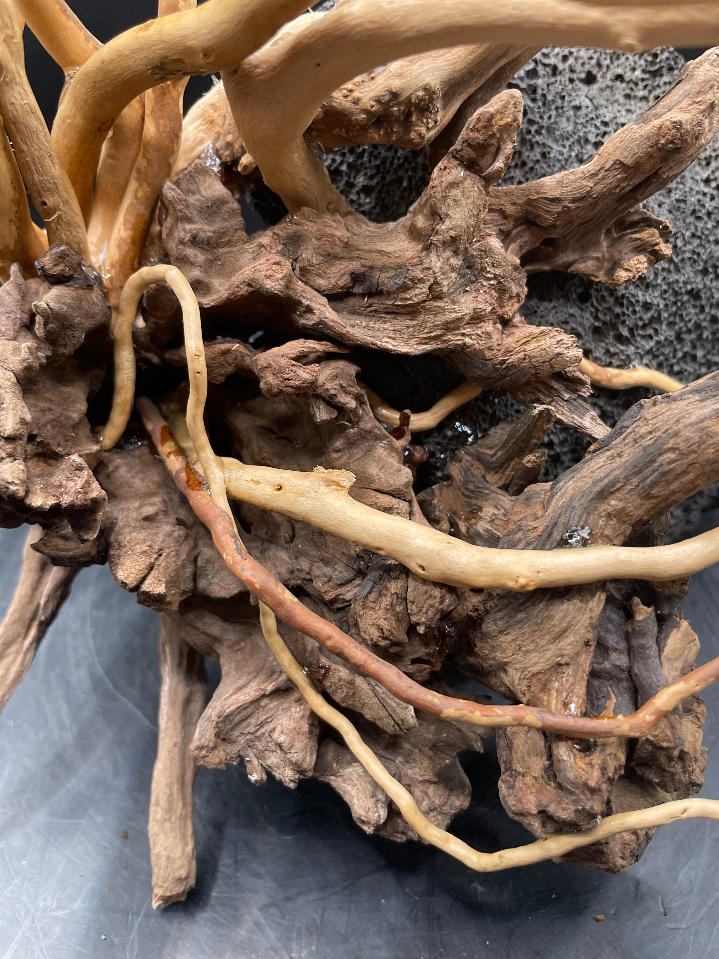 Aquarium Driftwood, Handcrafted Aquascape Unique Decoration - Cariad