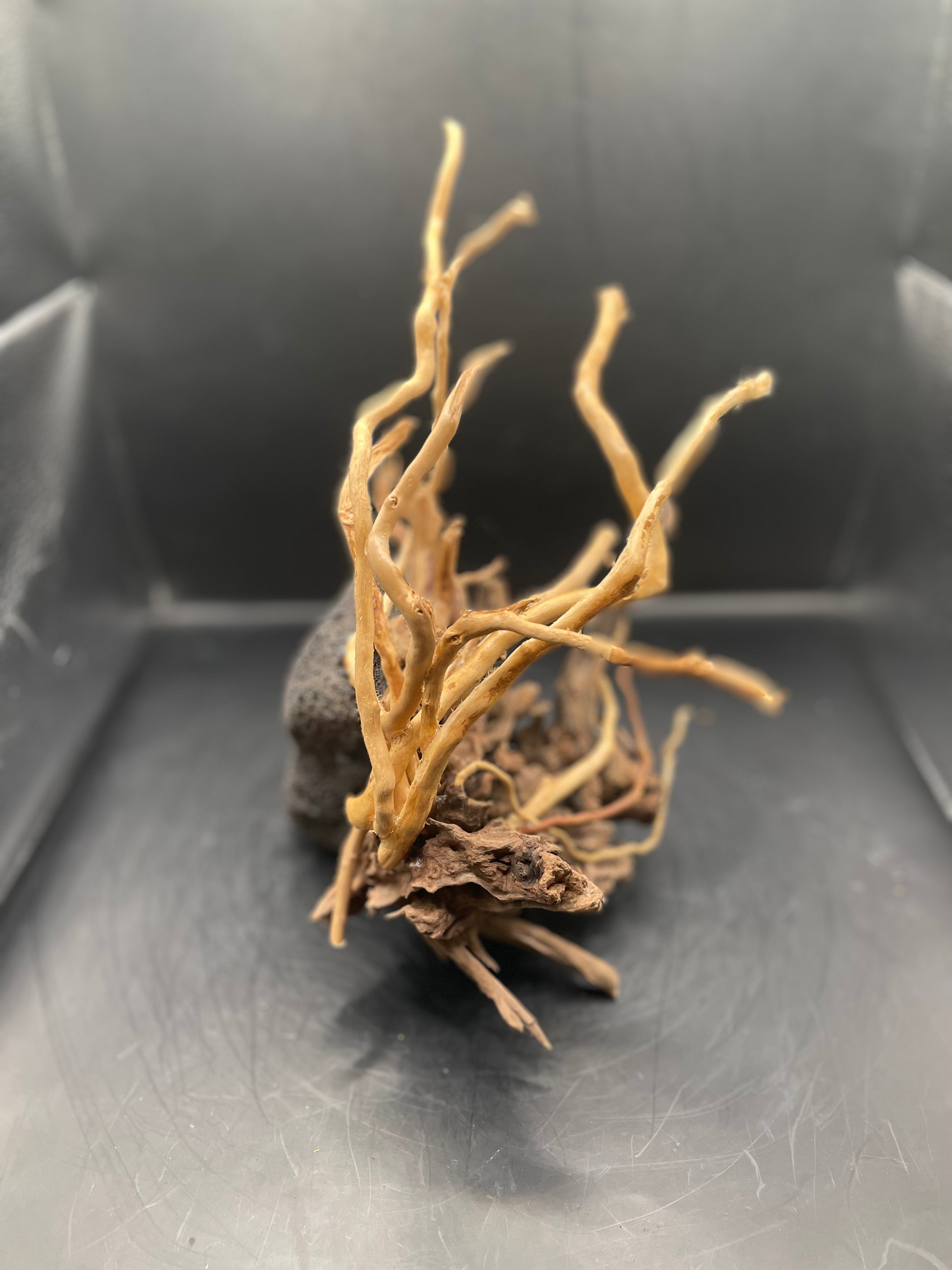 Aquarium Driftwood, Handcrafted Aquascape Unique Decoration - Cariad