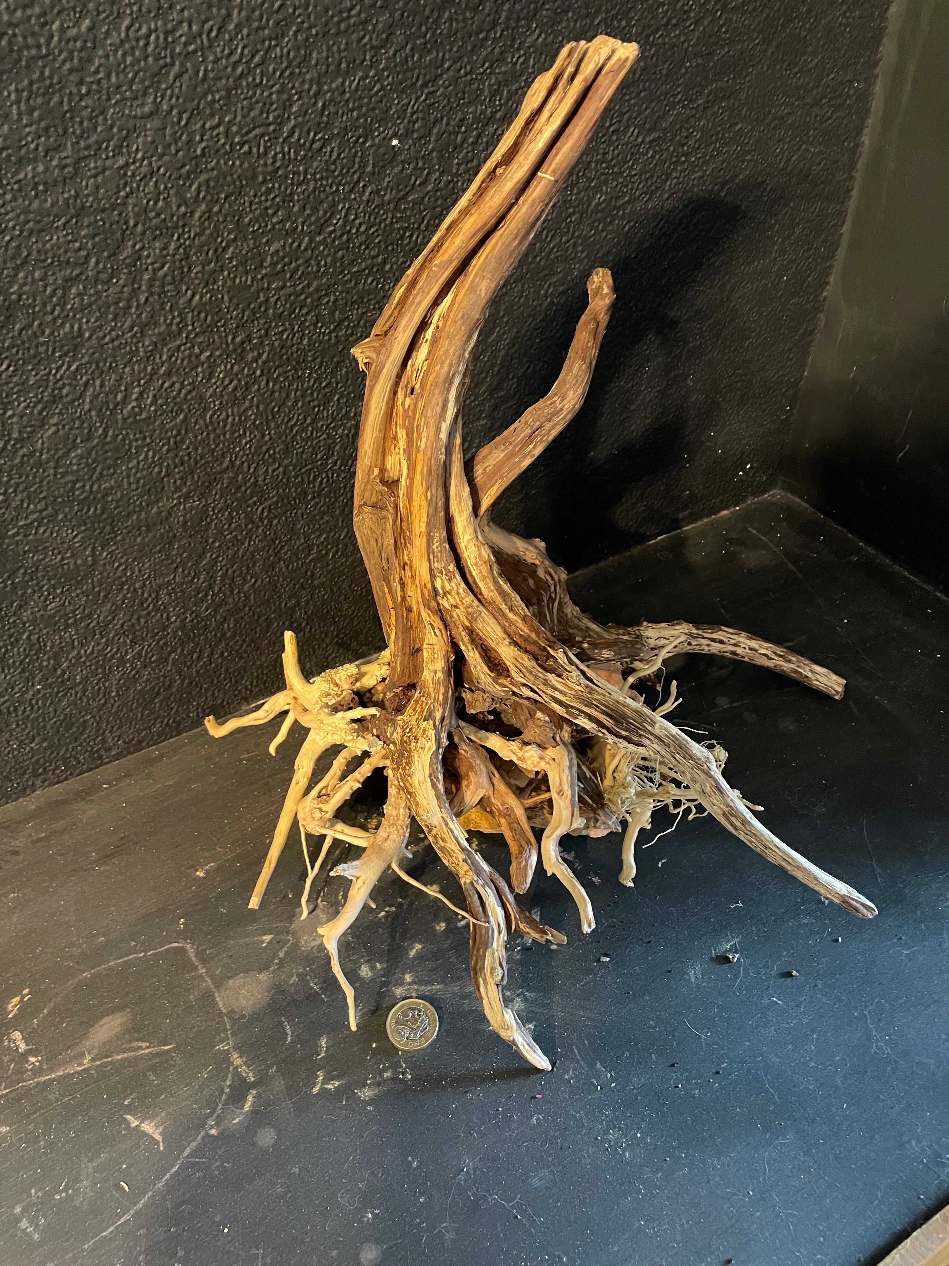 Aquarium Driftwood, Handcrafted Aquascape Unique Decoration - Sylvarach