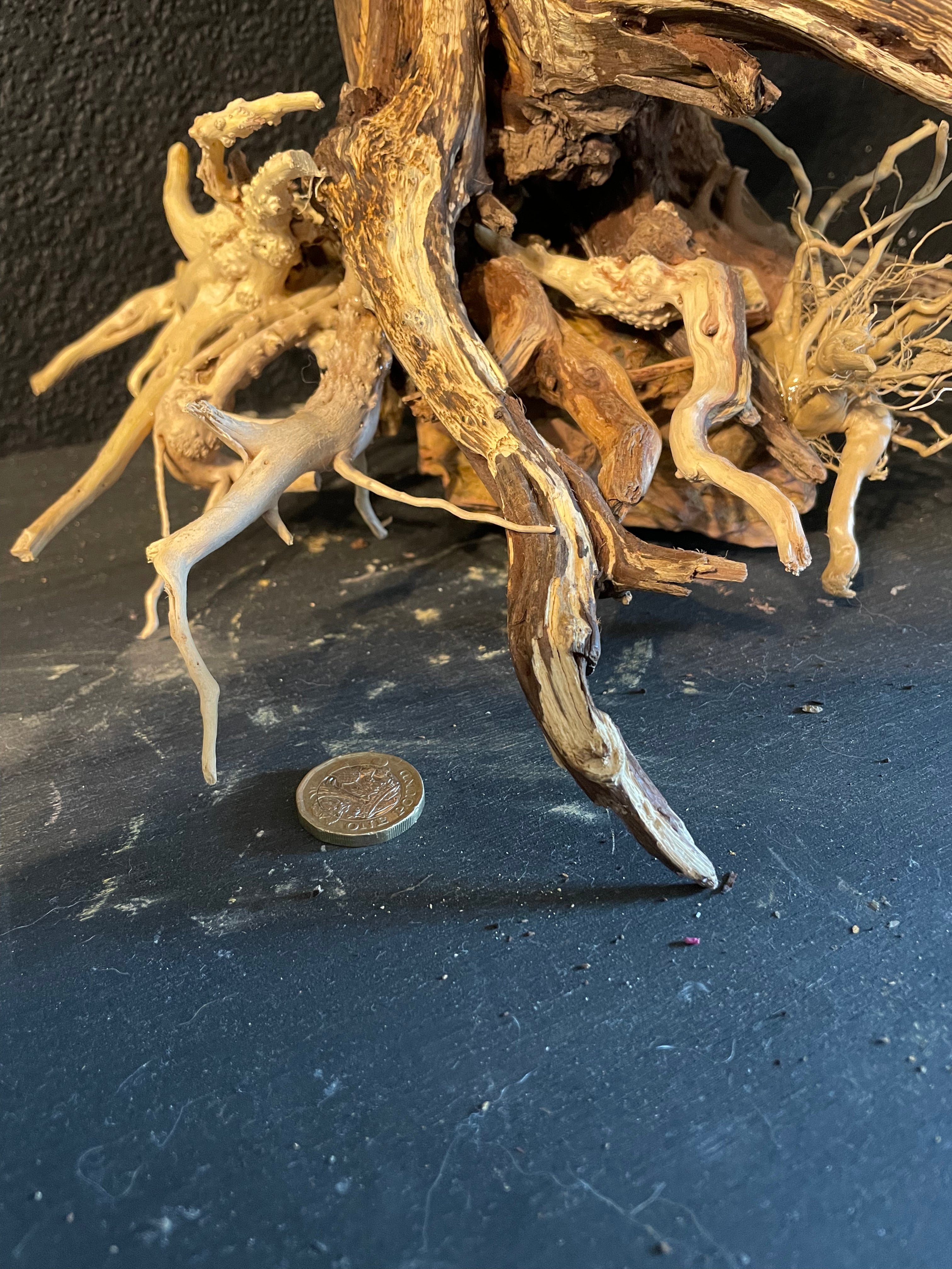 Aquarium Driftwood, Handcrafted Aquascape Unique Decoration - Sylvarach