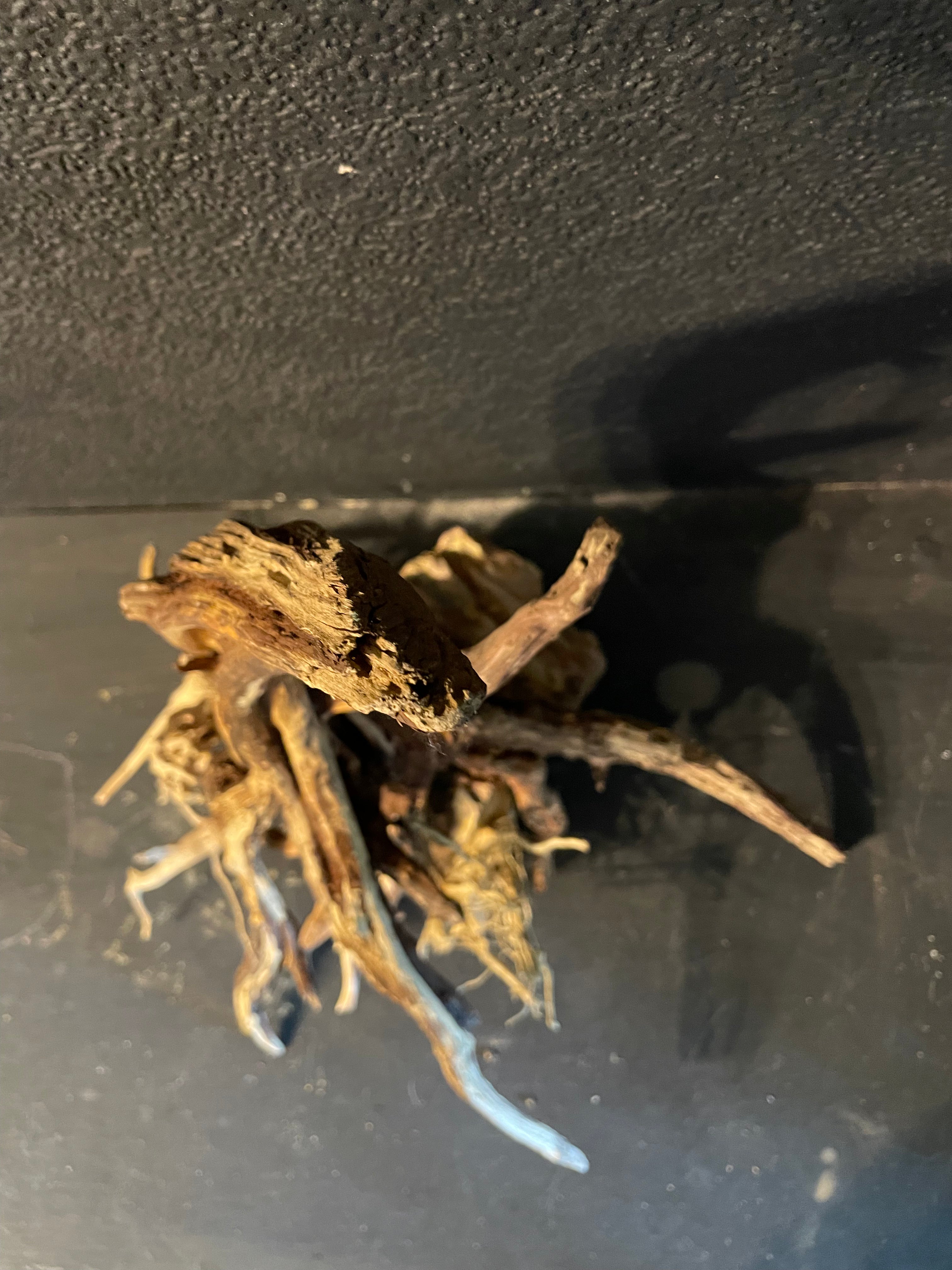 Aquarium Driftwood, Handcrafted Aquascape Unique Decoration - Sylvarach