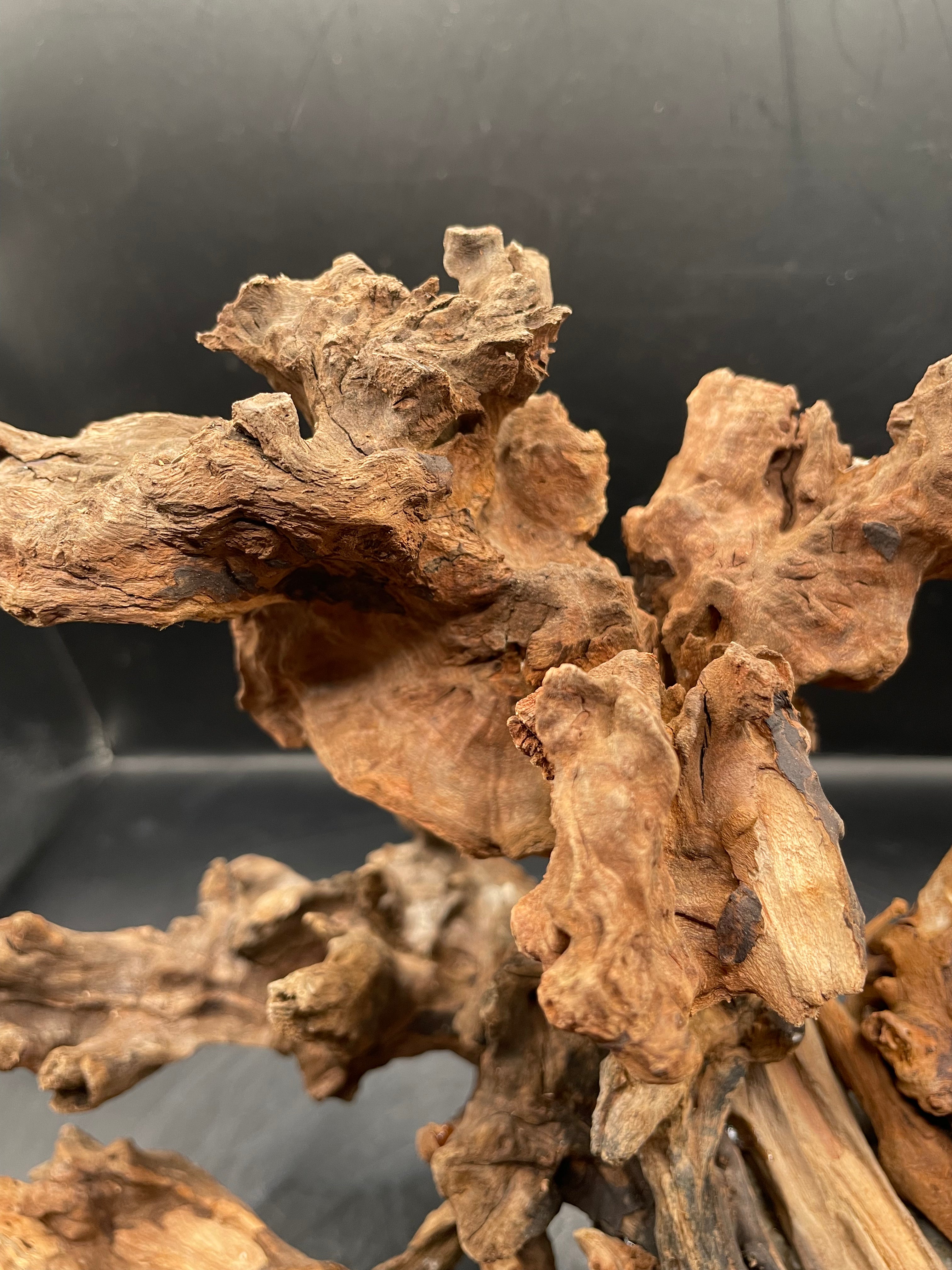 Aquarium Driftwood, Handcrafted Aquascape Unique Decoration- The Maw Of Tartarus