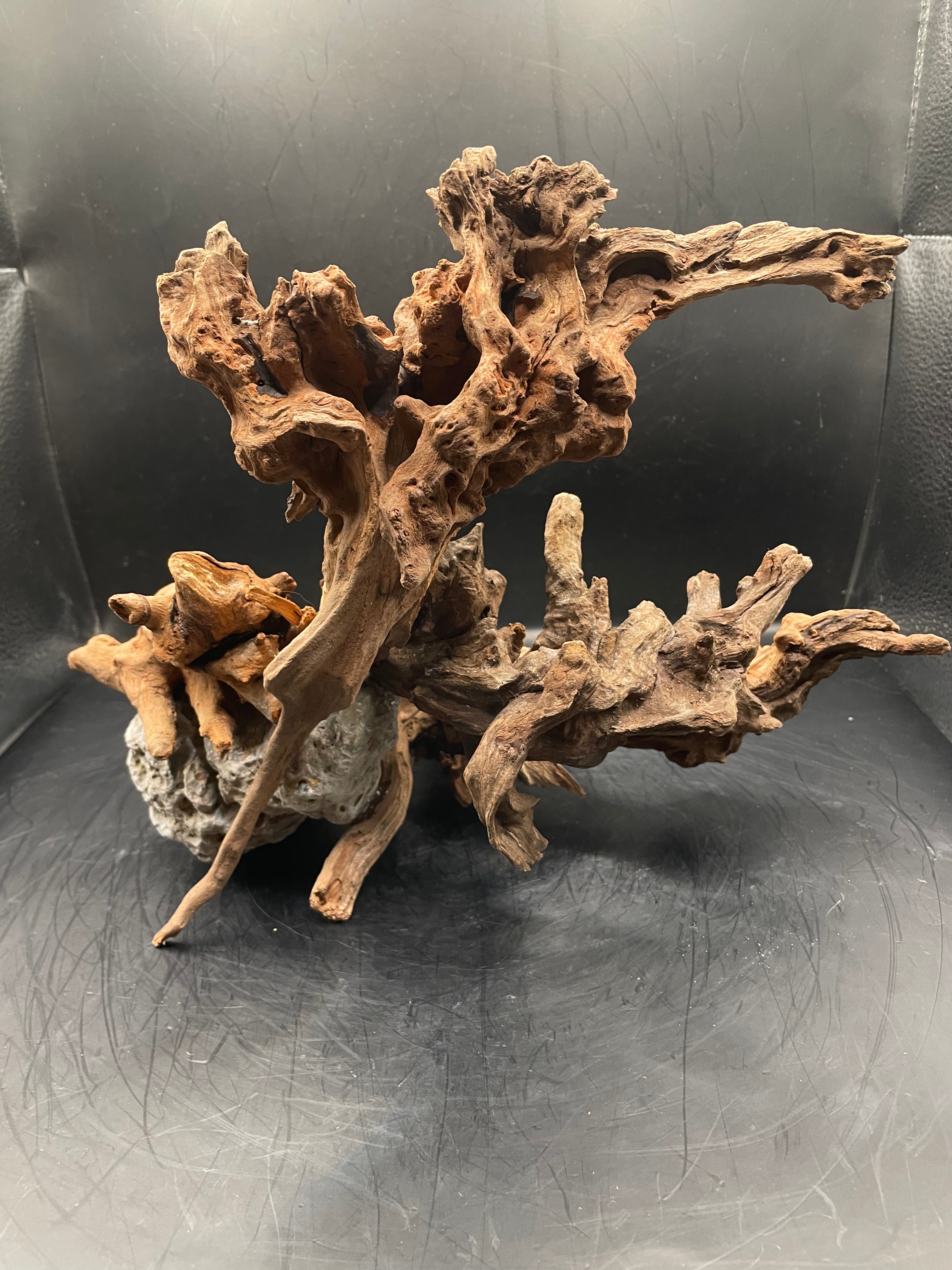 Aquarium Driftwood, Handcrafted Aquascape Unique Decoration- The Maw Of Tartarus