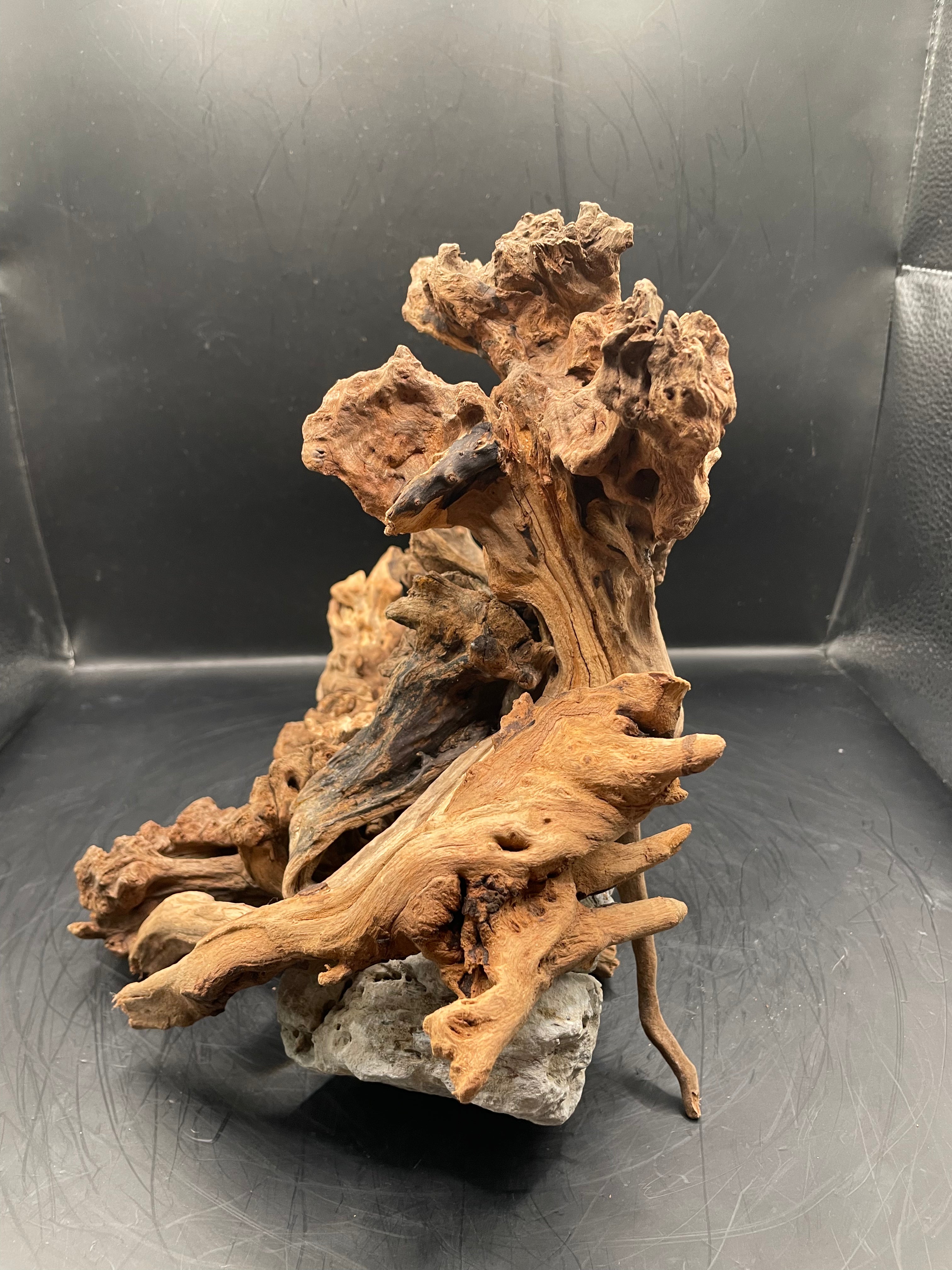 Aquarium Driftwood, Handcrafted Aquascape Unique Decoration- The Maw Of Tartarus