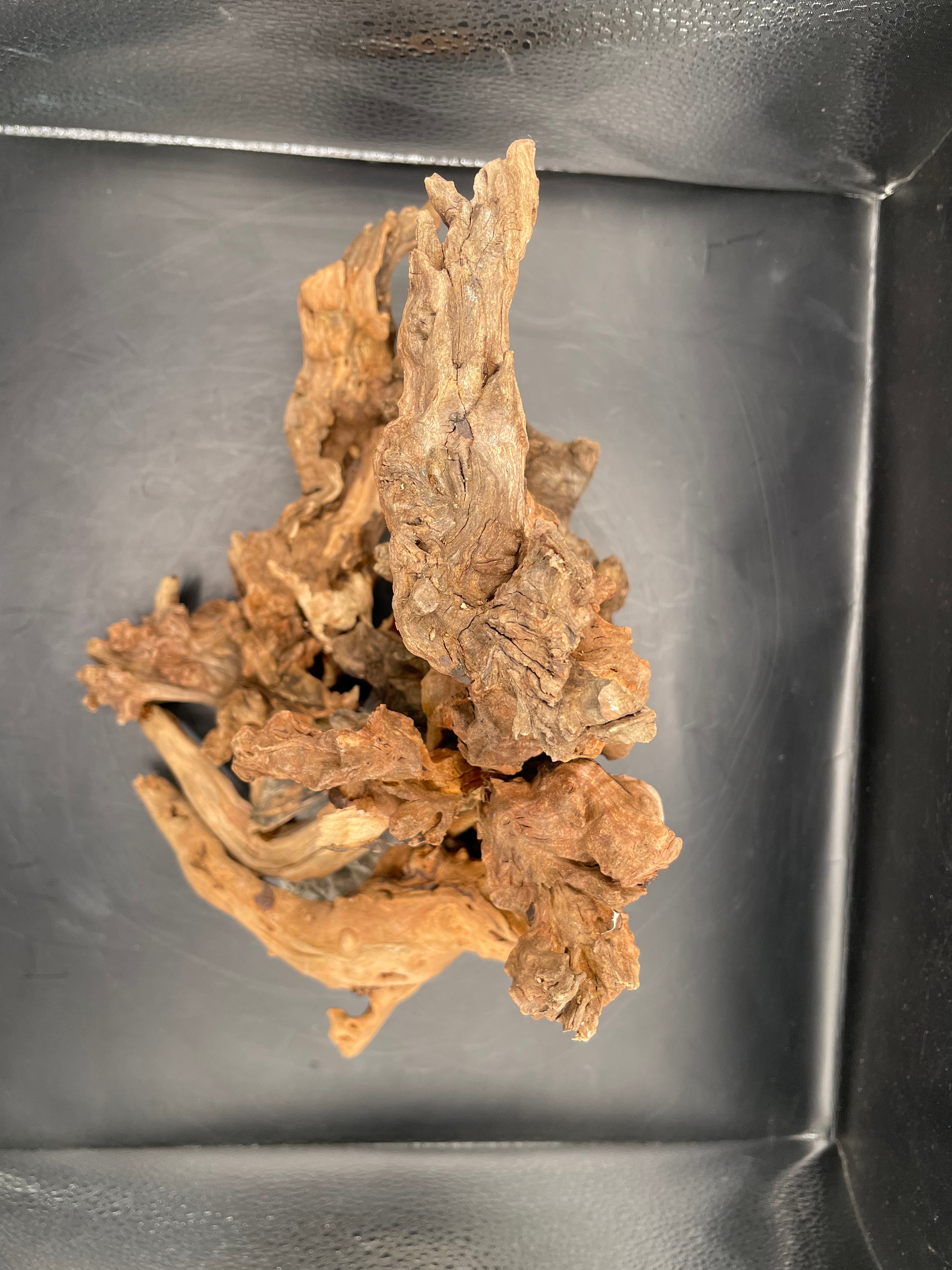 Aquarium Driftwood, Handcrafted Aquascape Unique Decoration- The Maw Of Tartarus