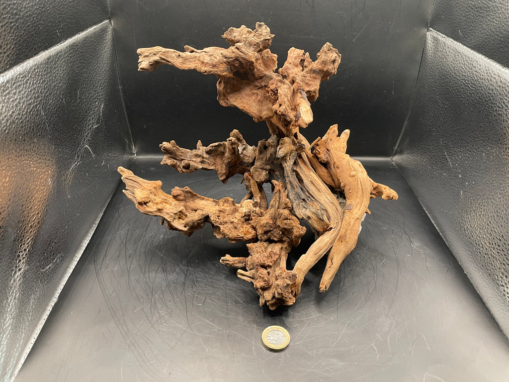Aquarium Driftwood, Handcrafted Aquascape Unique Decoration- The Maw Of Tartarus