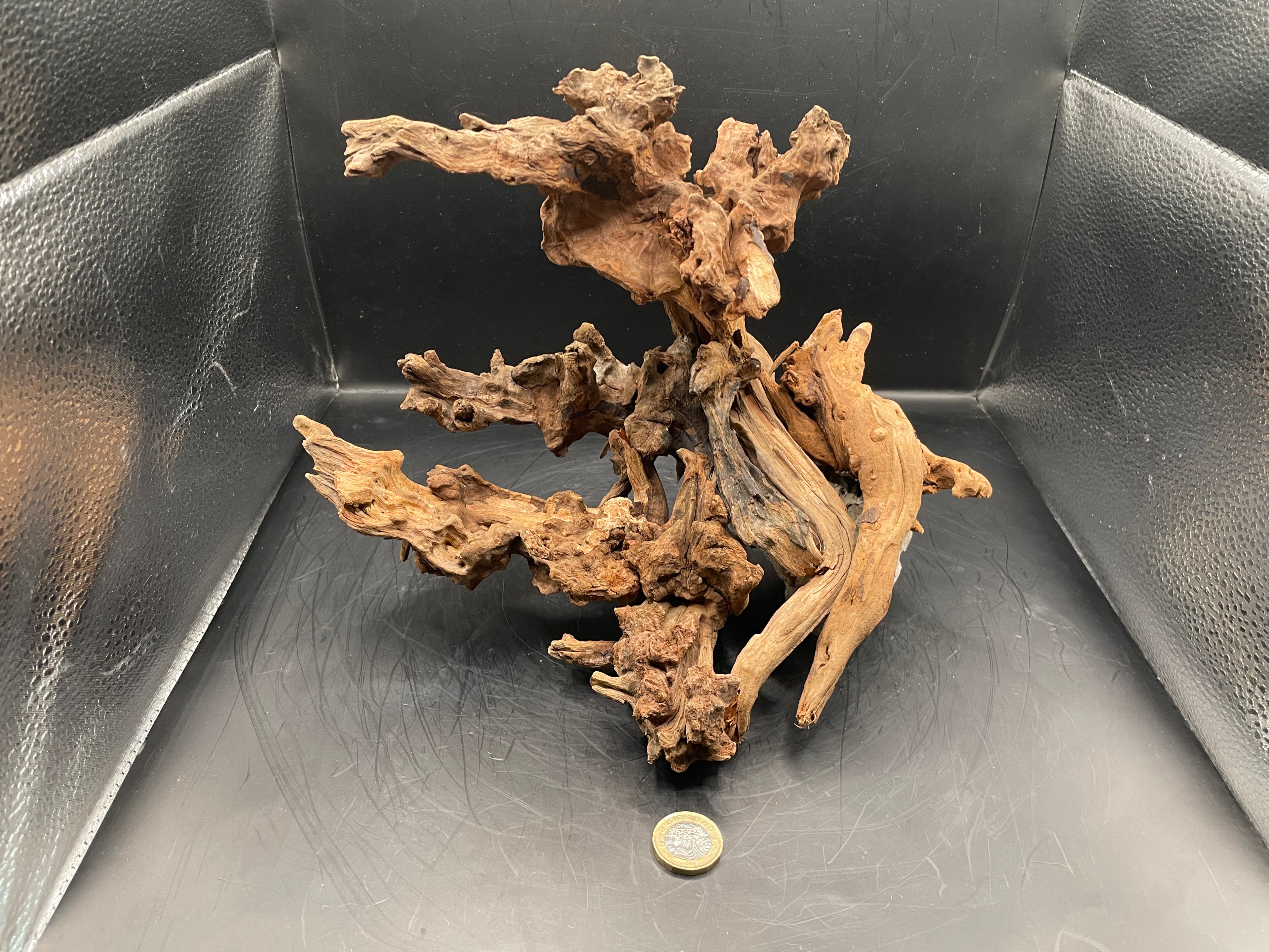 Aquarium Driftwood, Handcrafted Aquascape Unique Decoration- The Maw Of Tartarus