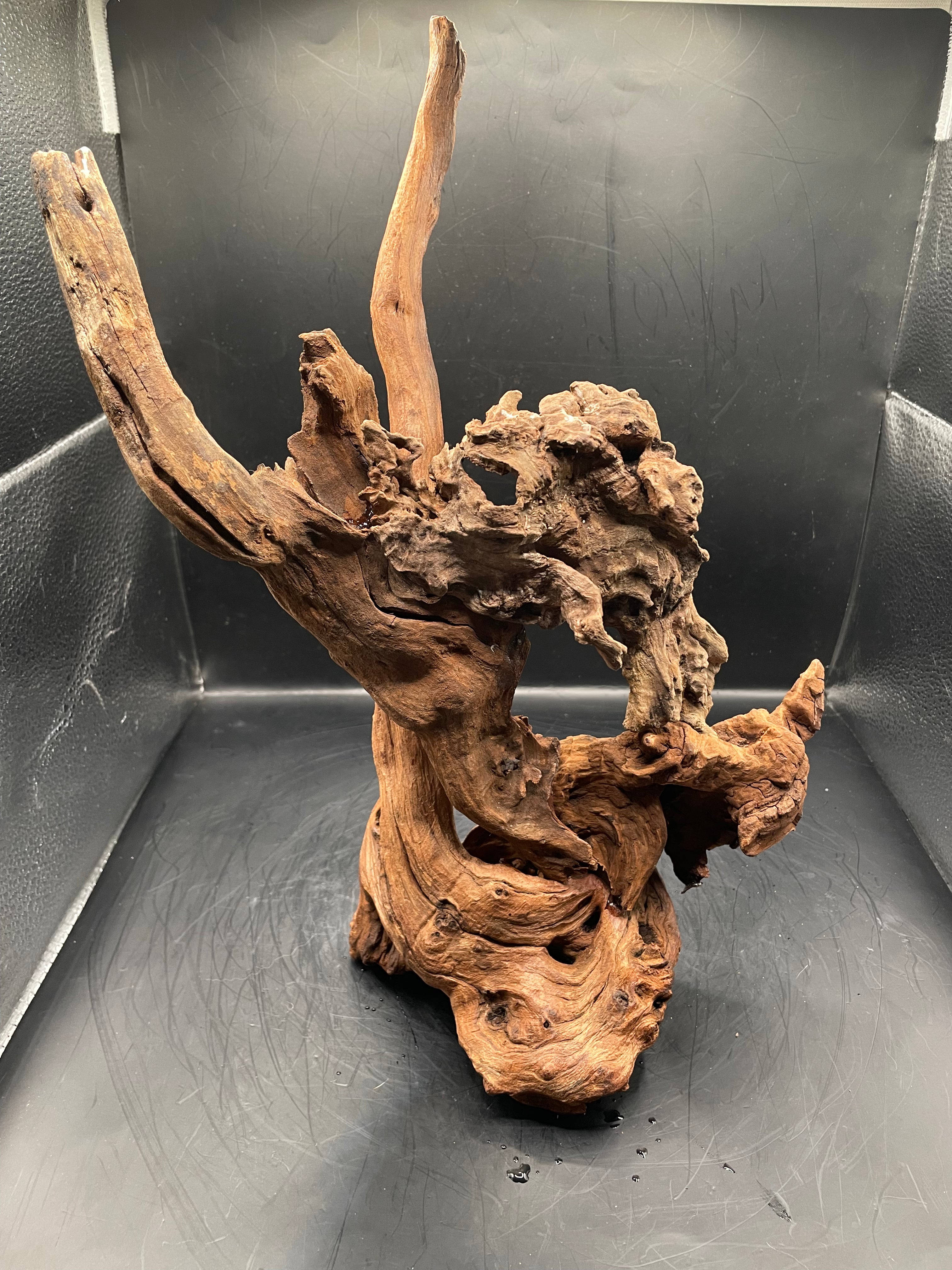 Aquarium Driftwood, Handcrafted Aquascape Unique Decoration - Balors Root