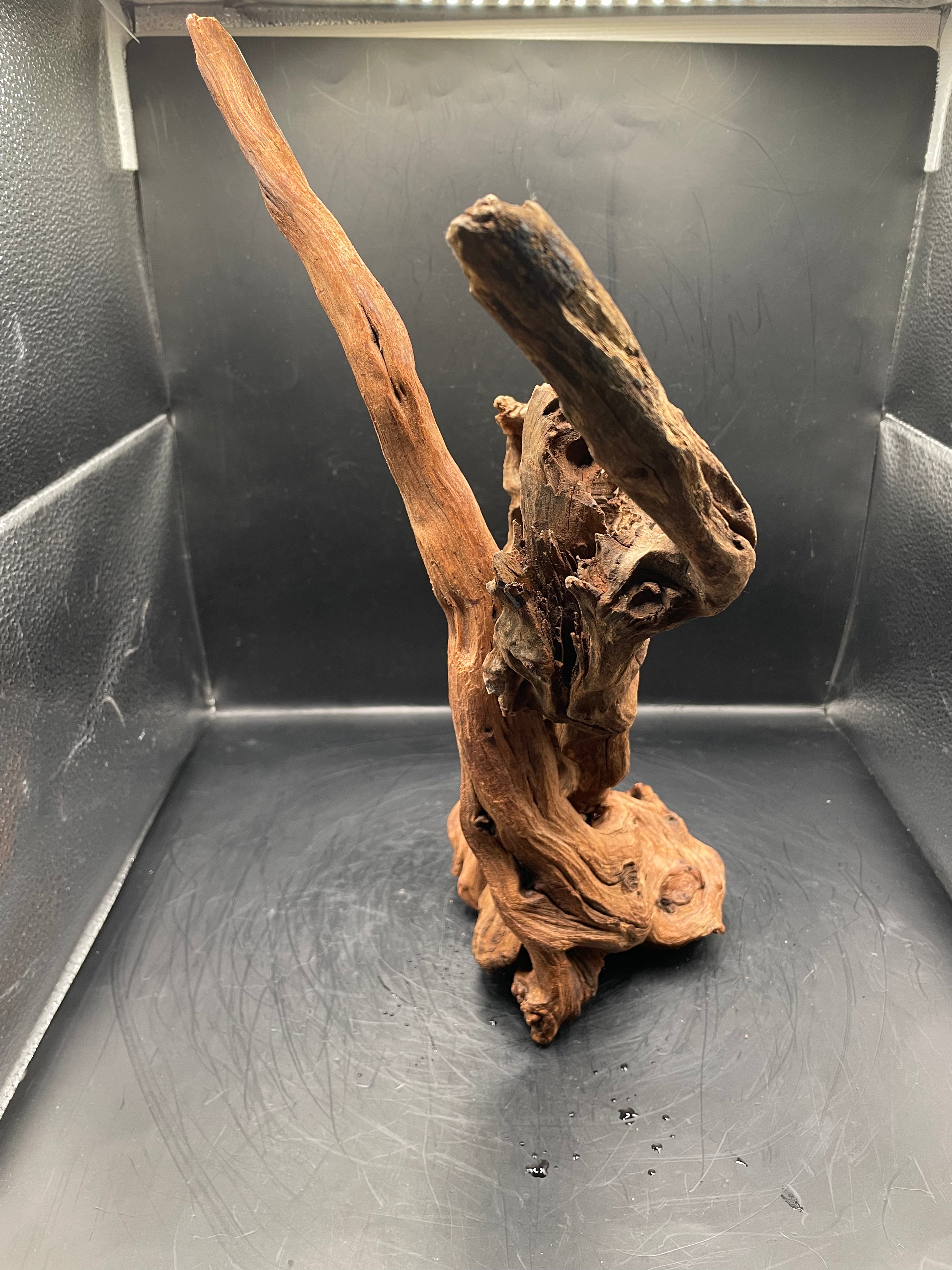 Aquarium Driftwood, Handcrafted Aquascape Unique Decoration - Balors Root