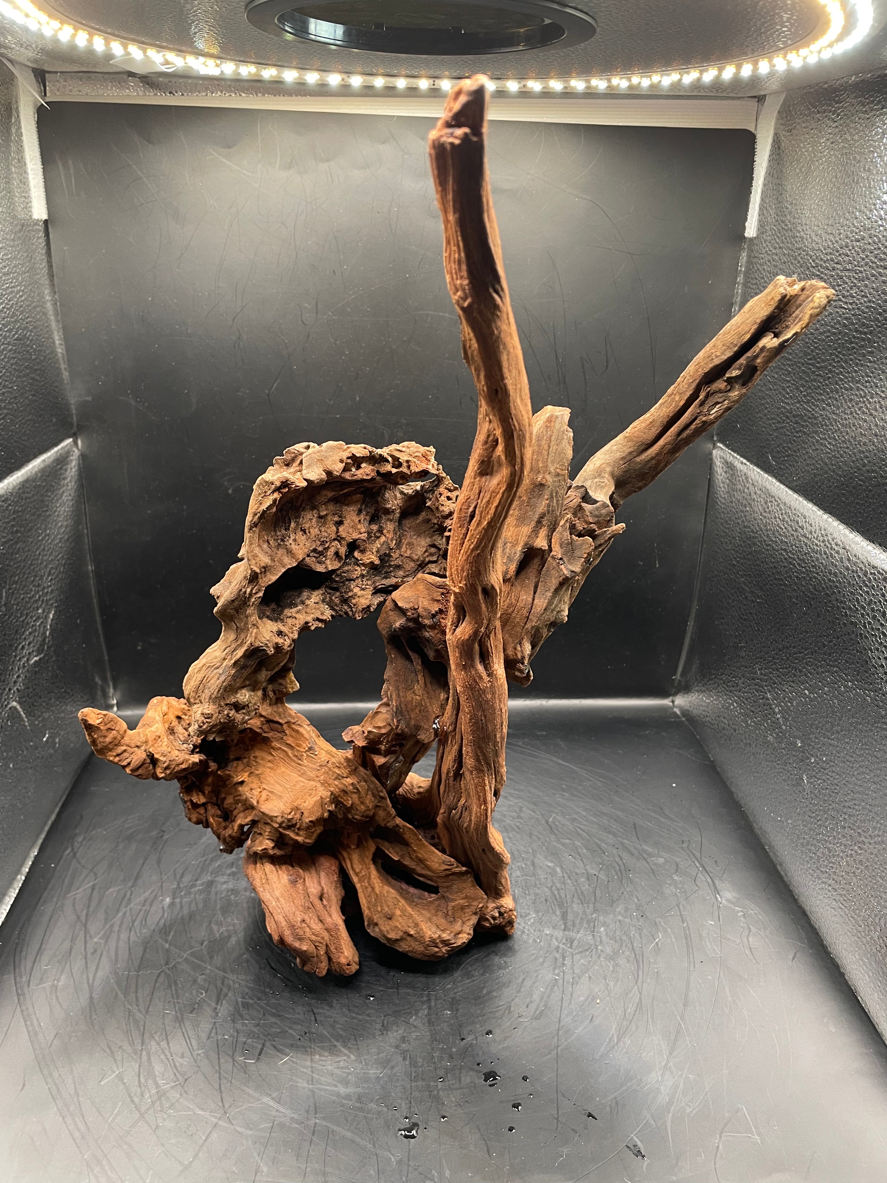 Aquarium Driftwood, Handcrafted Aquascape Unique Decoration - Balors Root