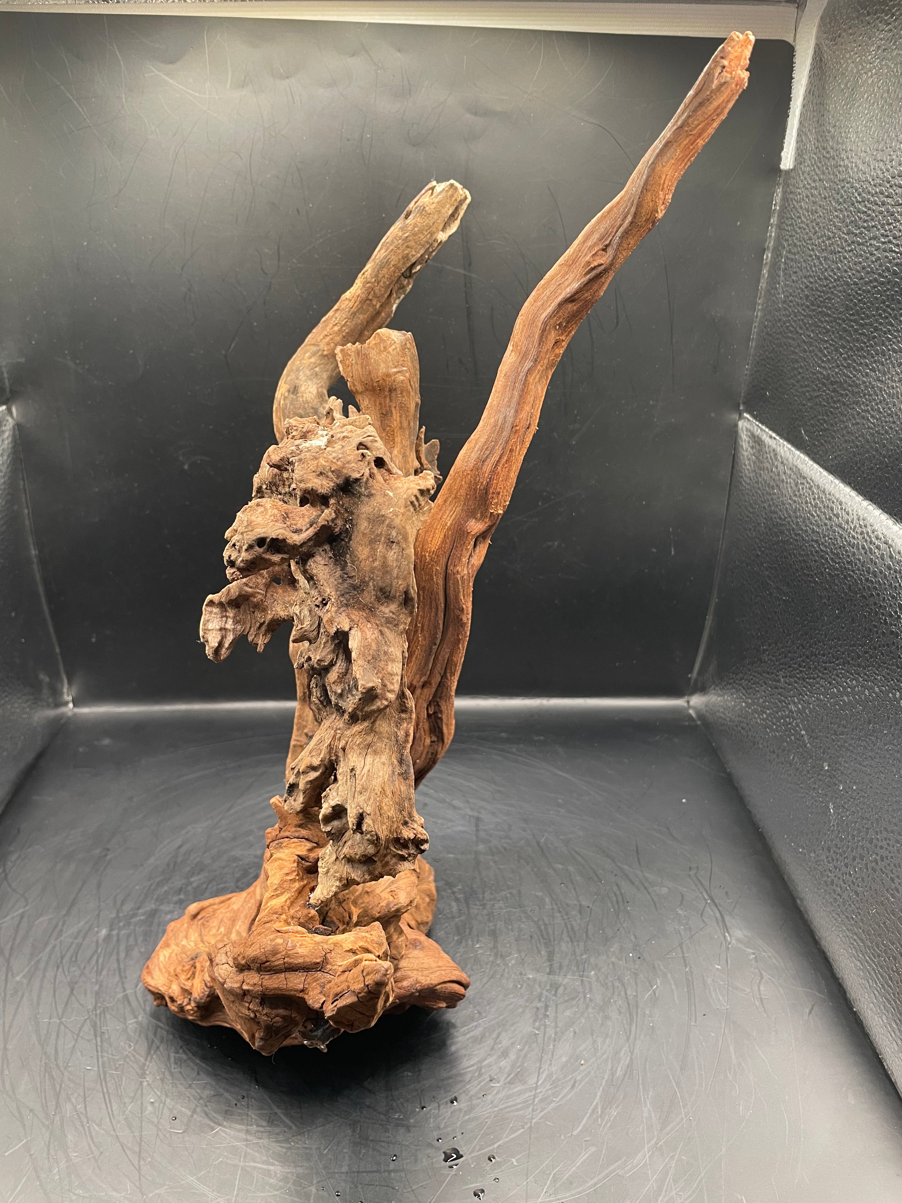 Aquarium Driftwood, Handcrafted Aquascape Unique Decoration - Balors Root