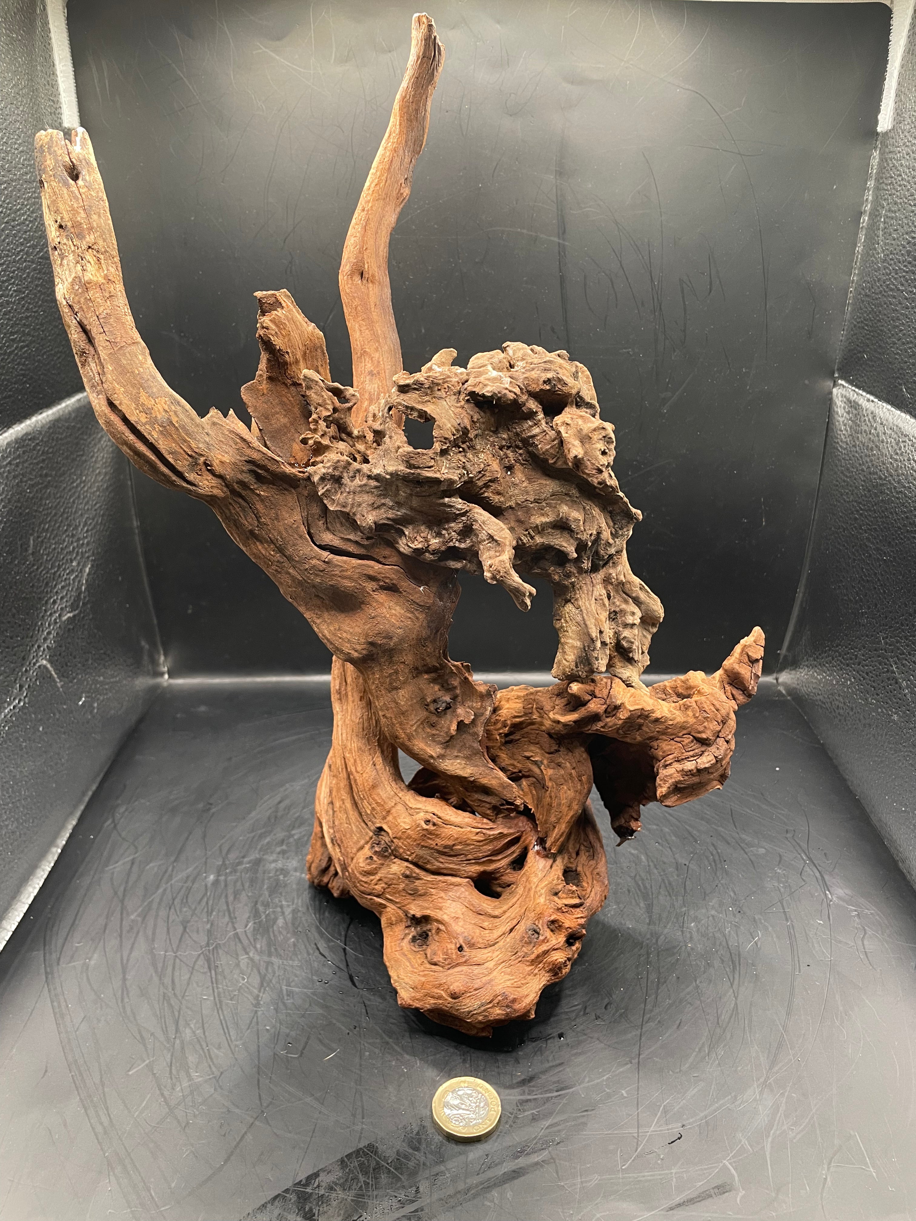 Aquarium Driftwood, Handcrafted Aquascape Unique Decoration - Balors Root
