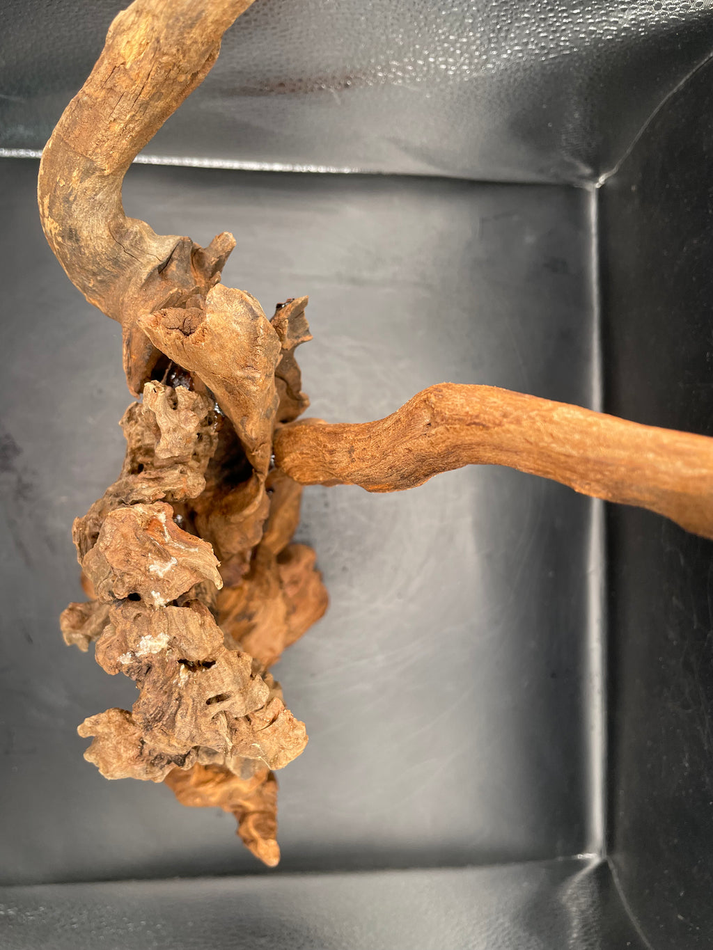 Aquarium Driftwood, Handcrafted Aquascape Unique Decoration - Balors Root