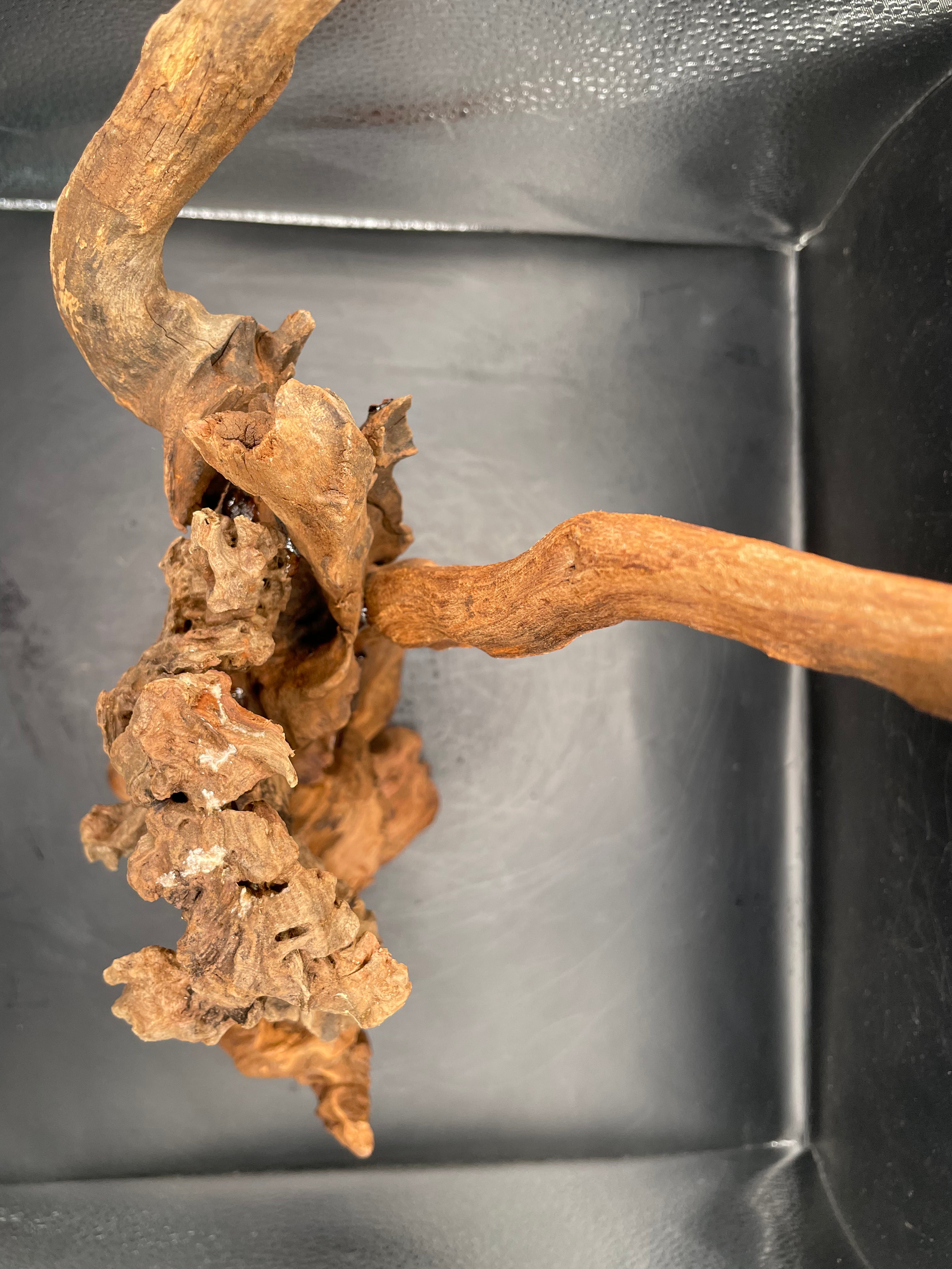 Aquarium Driftwood, Handcrafted Aquascape Unique Decoration - Balors Root
