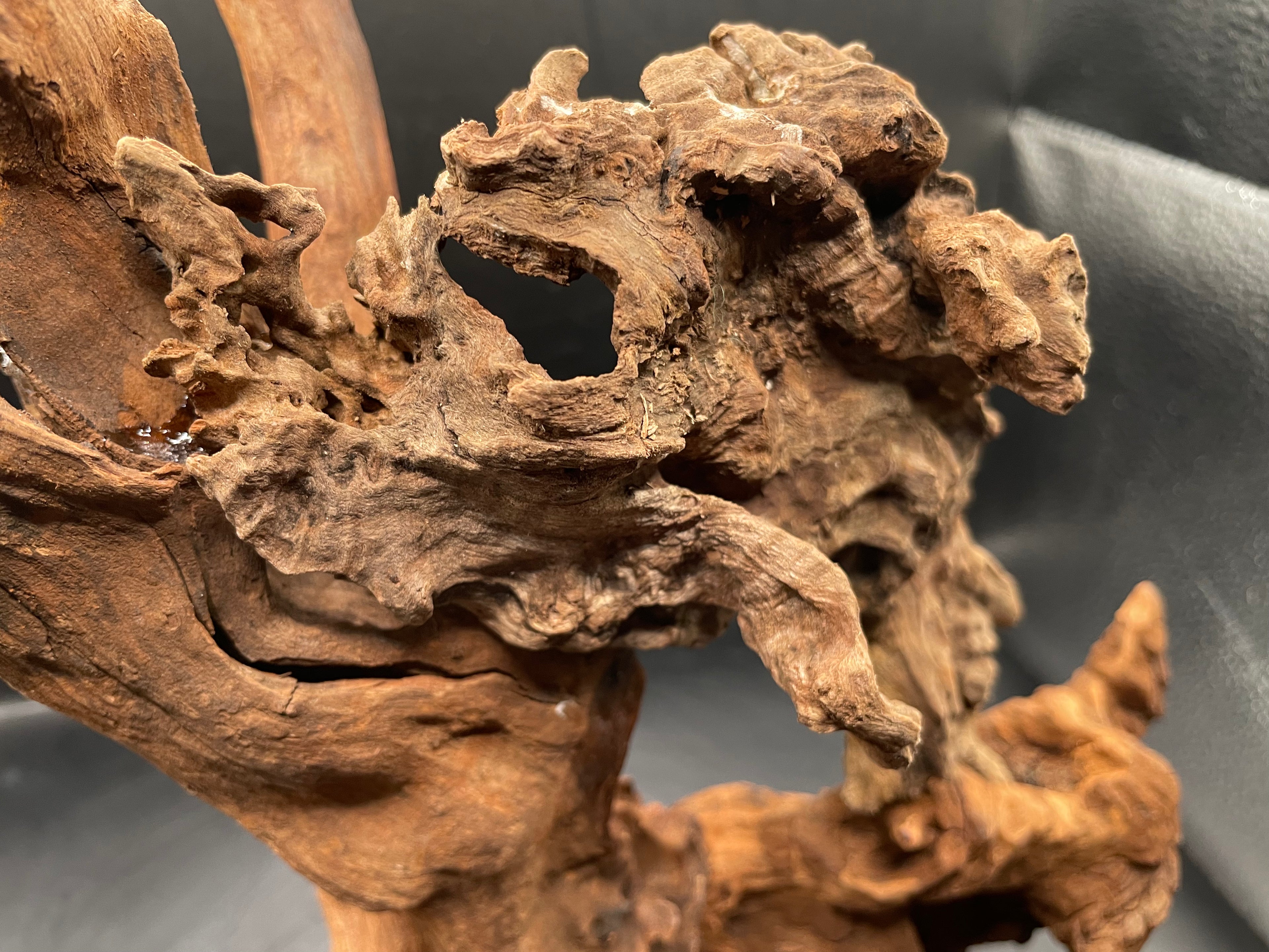 Aquarium Driftwood, Handcrafted Aquascape Unique Decoration - Balors Root