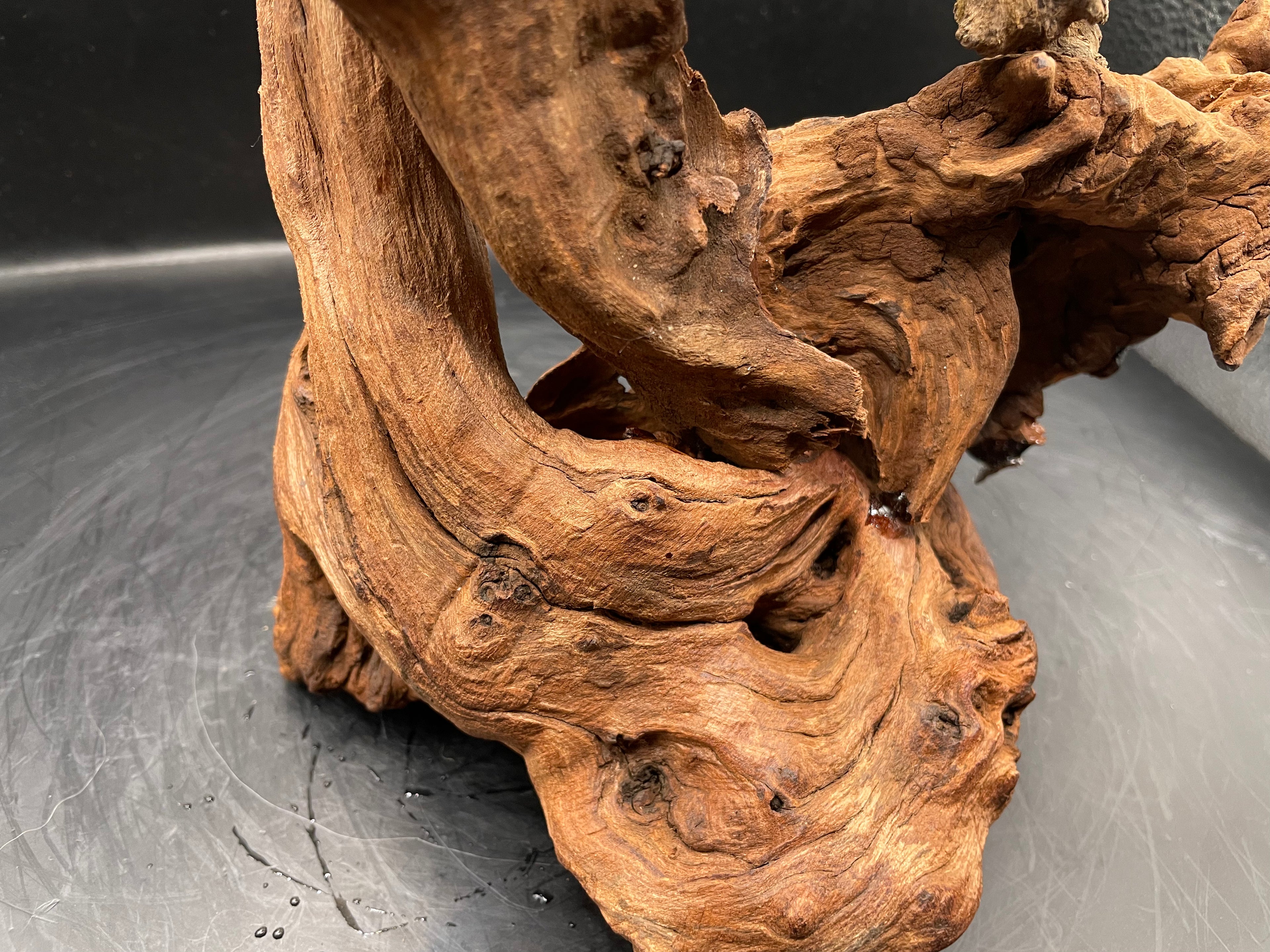 Aquarium Driftwood, Handcrafted Aquascape Unique Decoration - Balors Root