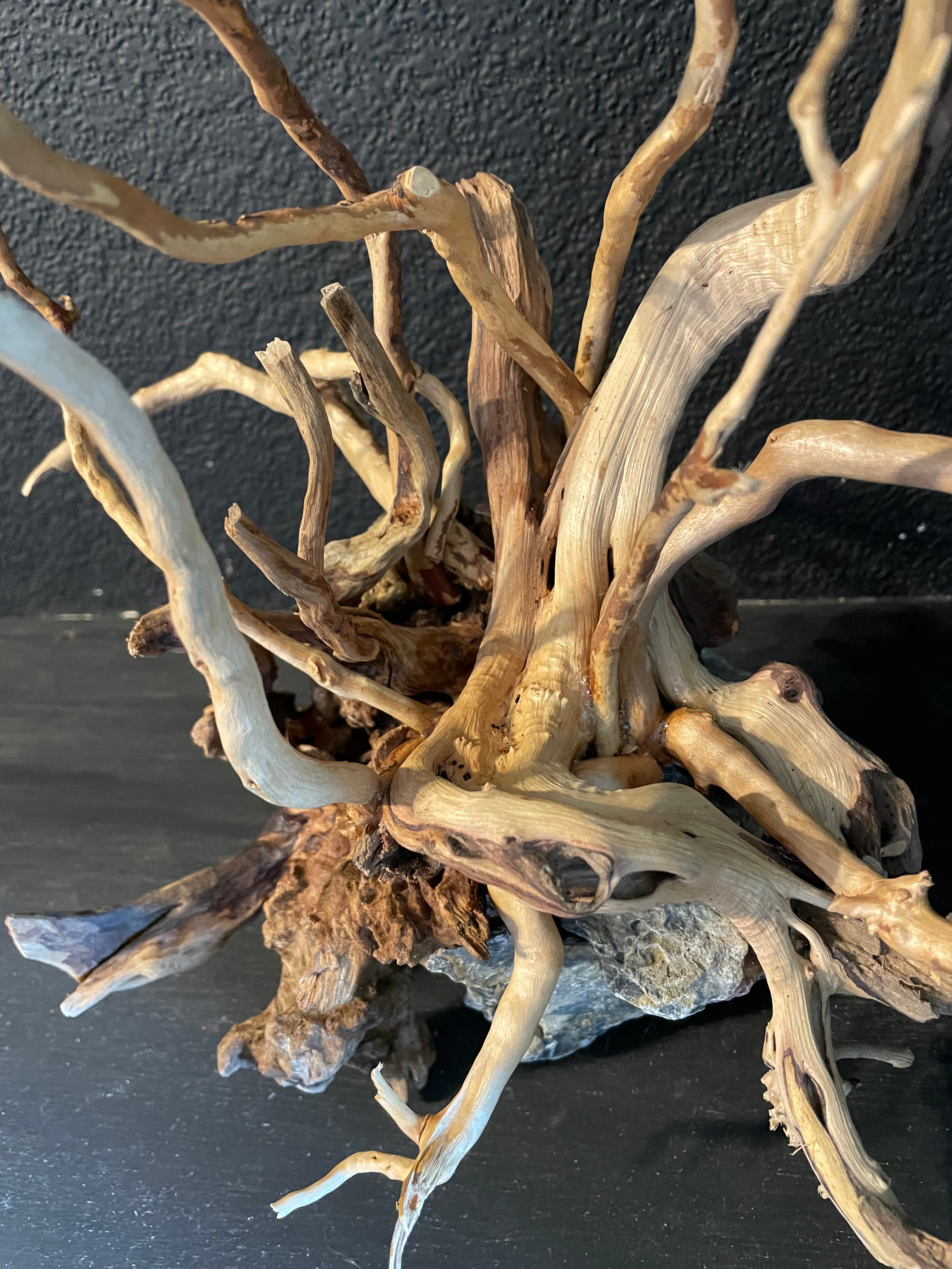 Aquarium Driftwood, Handcrafted Aquascape Unique Decoration - Cernunnos Tangle