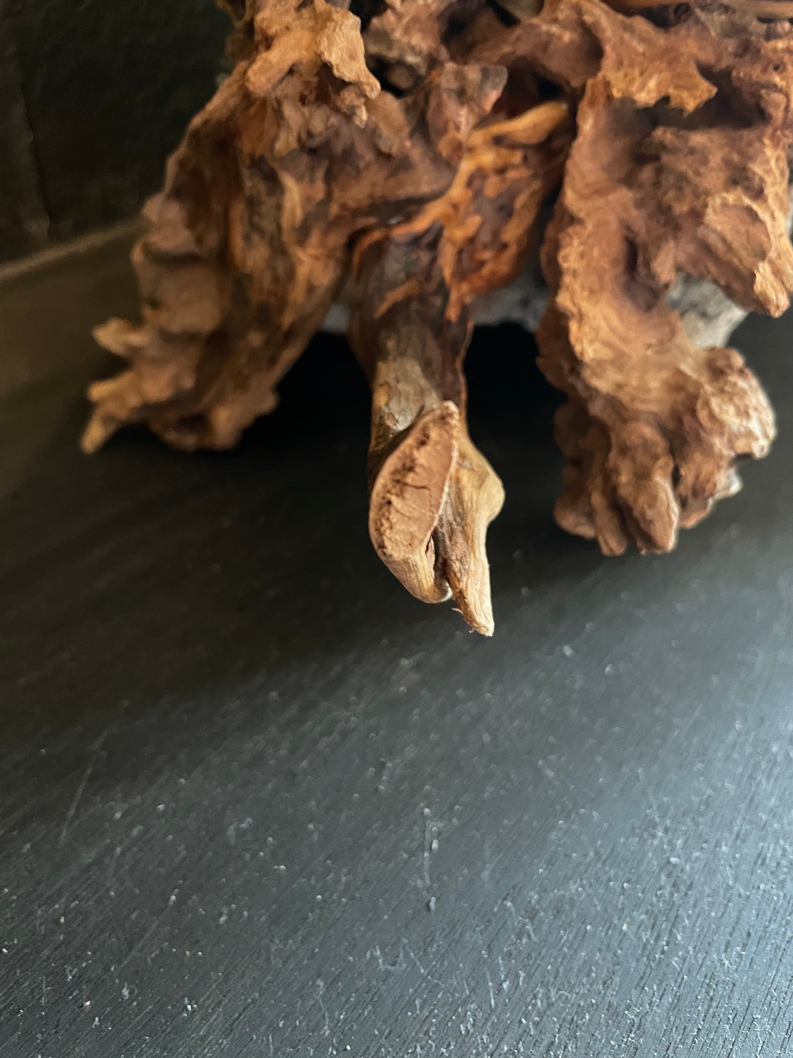 Aquarium Driftwood, Handcrafted Aquascape Unique Decoration - Cernunnos Tangle