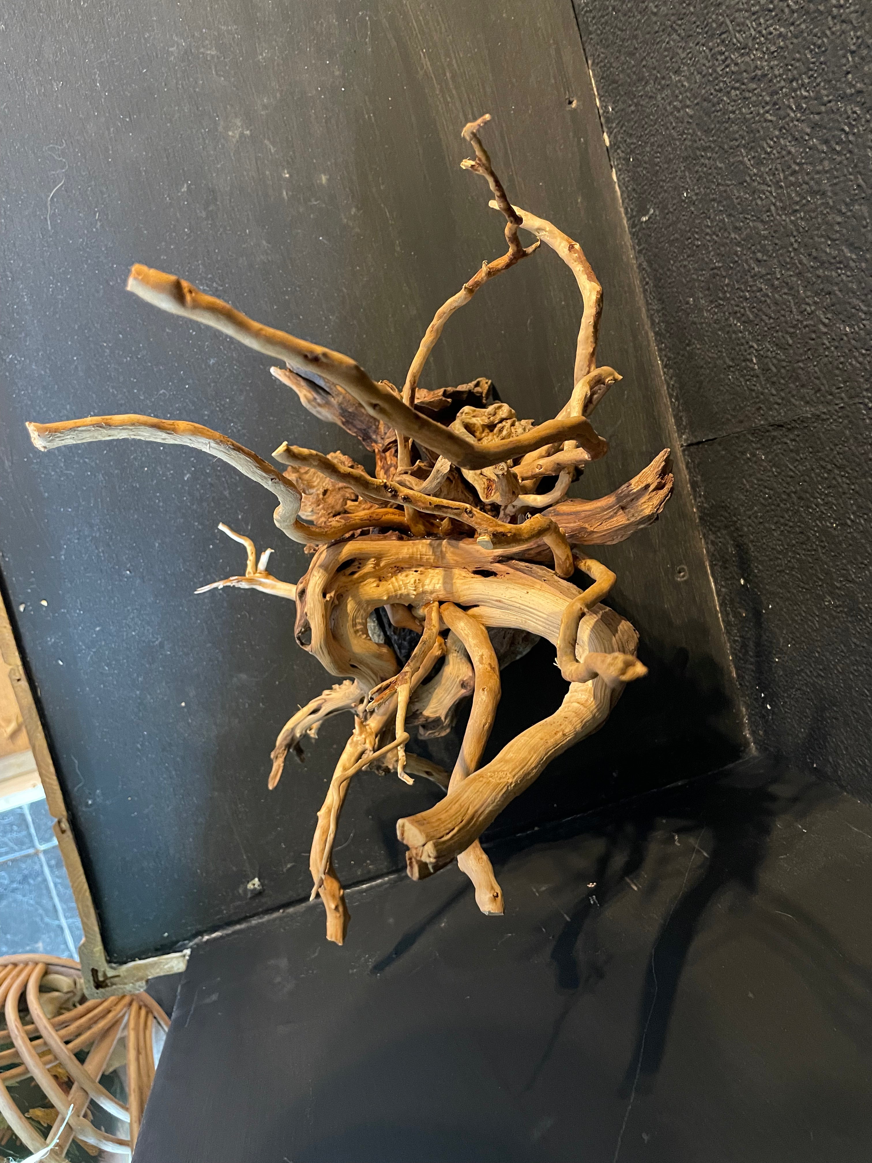 Aquarium Driftwood, Handcrafted Aquascape Unique Decoration - Cernunnos Tangle