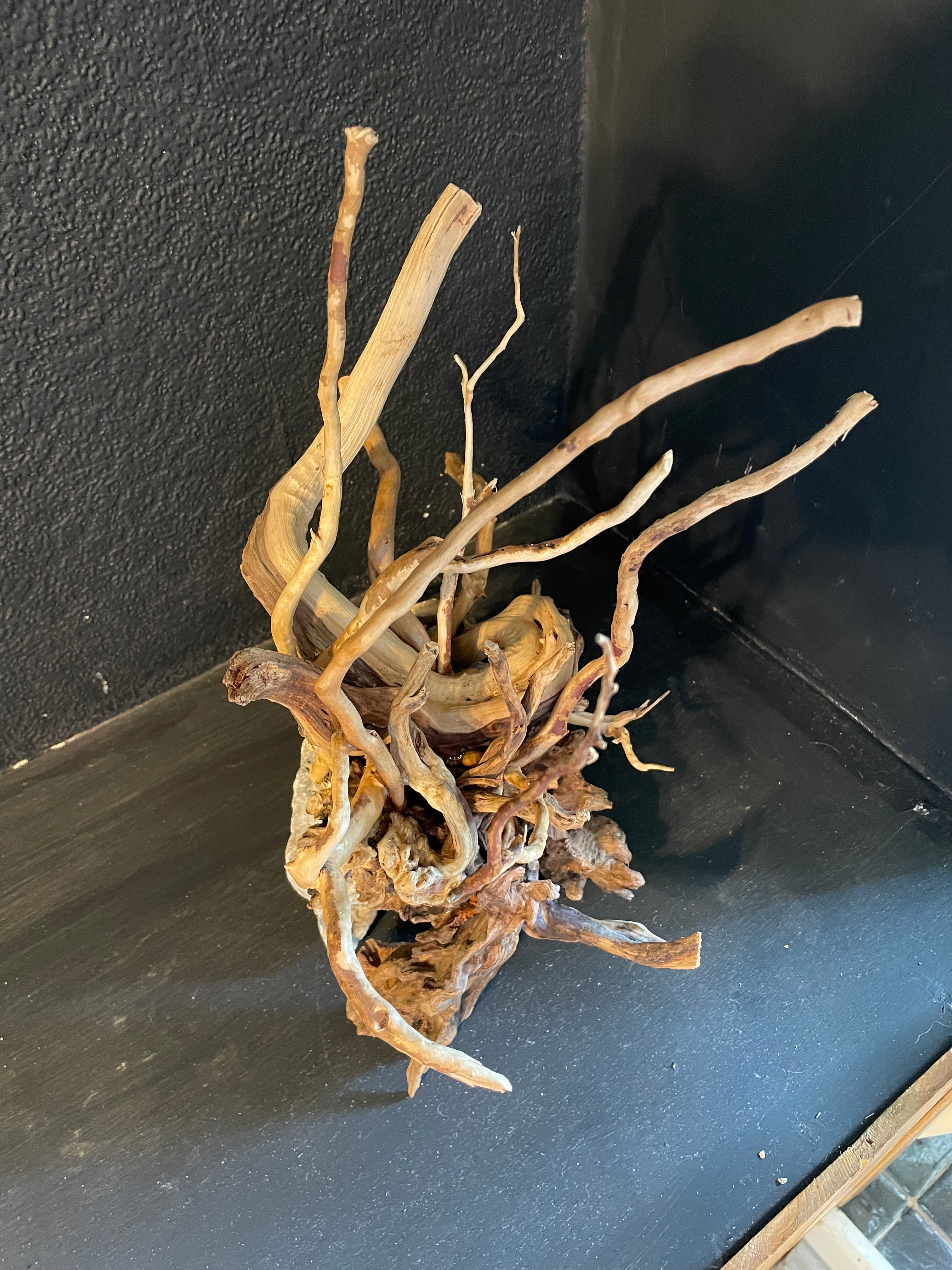 Aquarium Driftwood, Handcrafted Aquascape Unique Decoration - Cernunnos Tangle