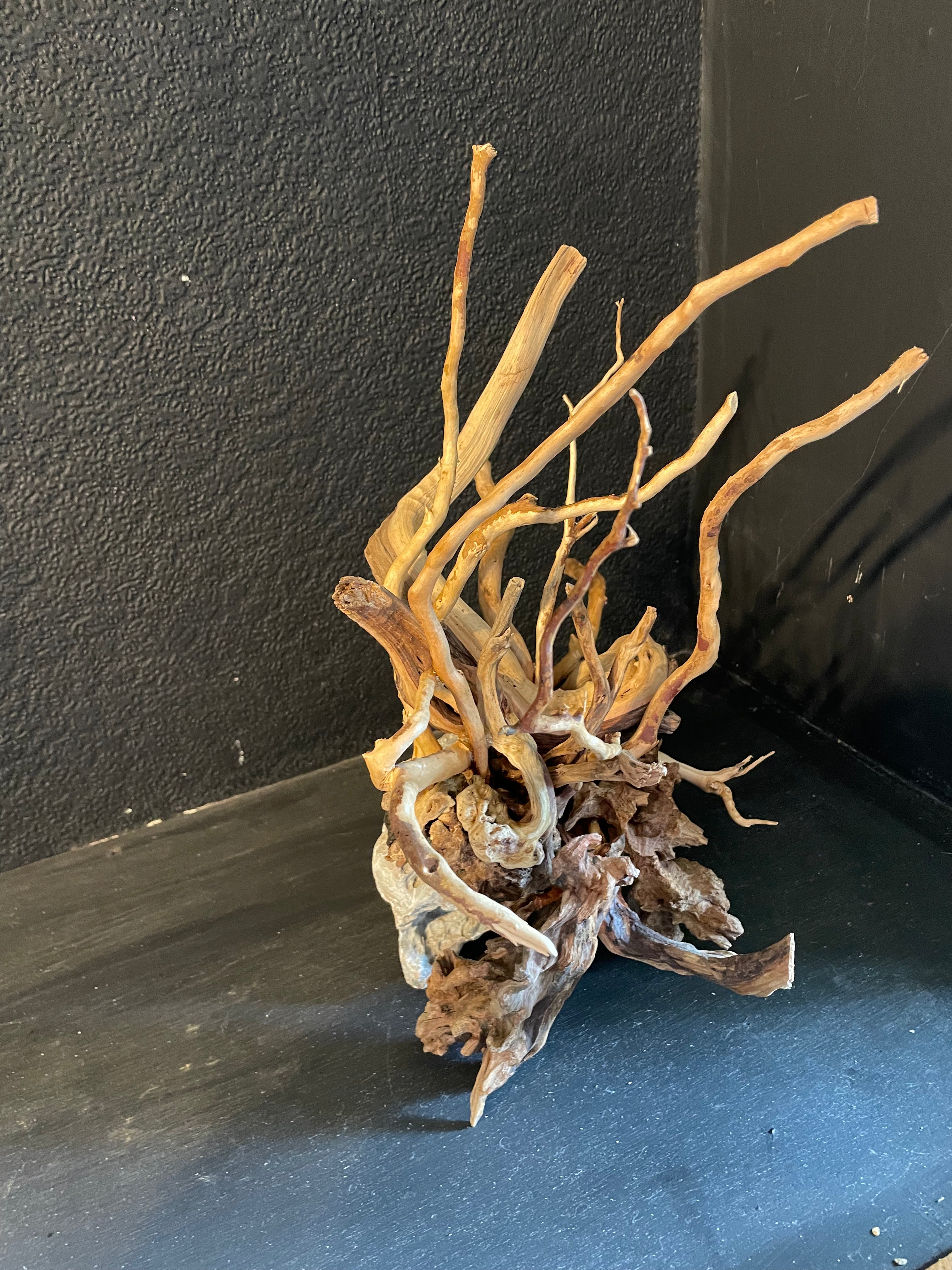 Aquarium Driftwood, Handcrafted Aquascape Unique Decoration - Cernunnos Tangle