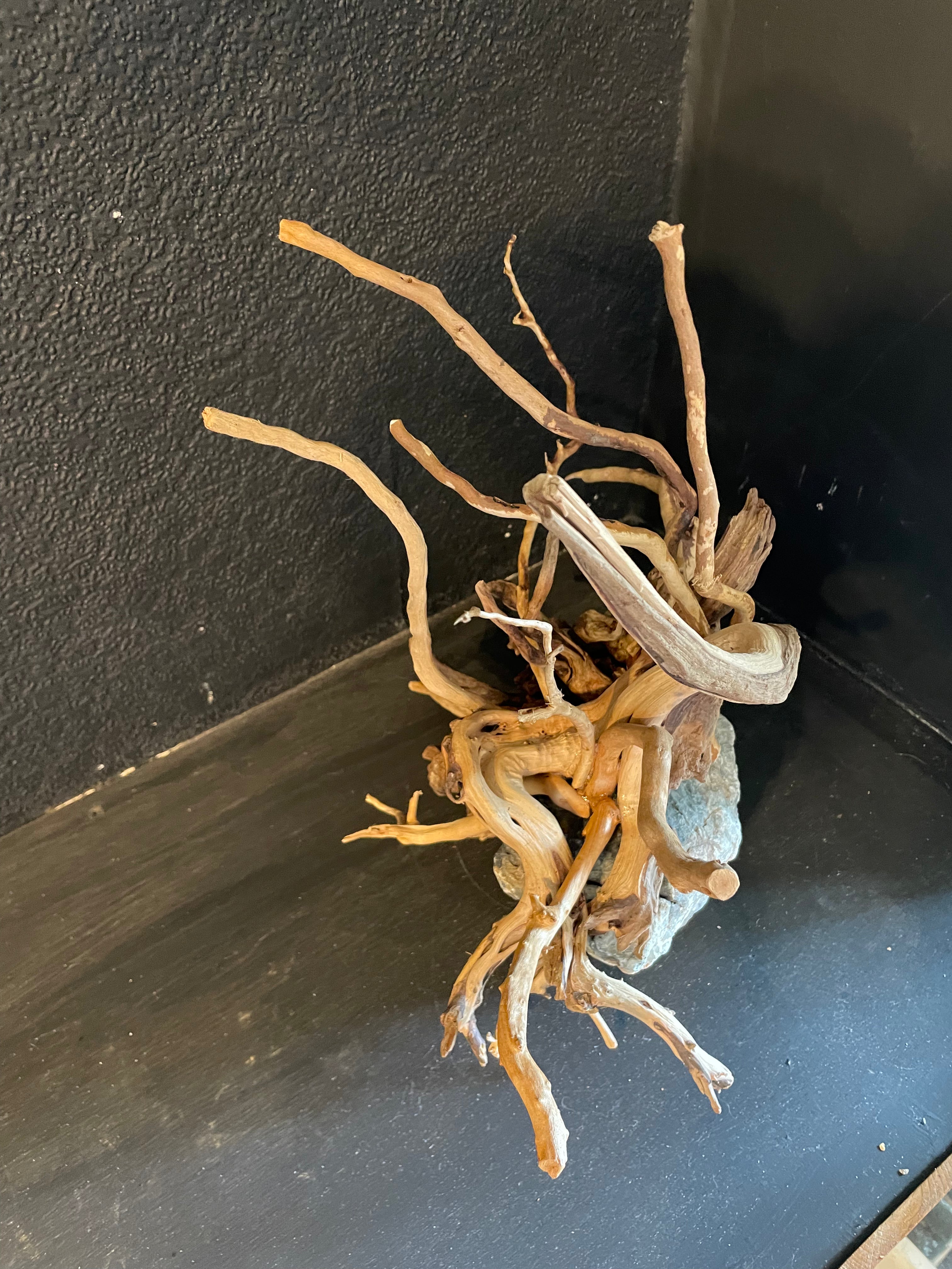 Aquarium Driftwood, Handcrafted Aquascape Unique Decoration - Cernunnos Tangle