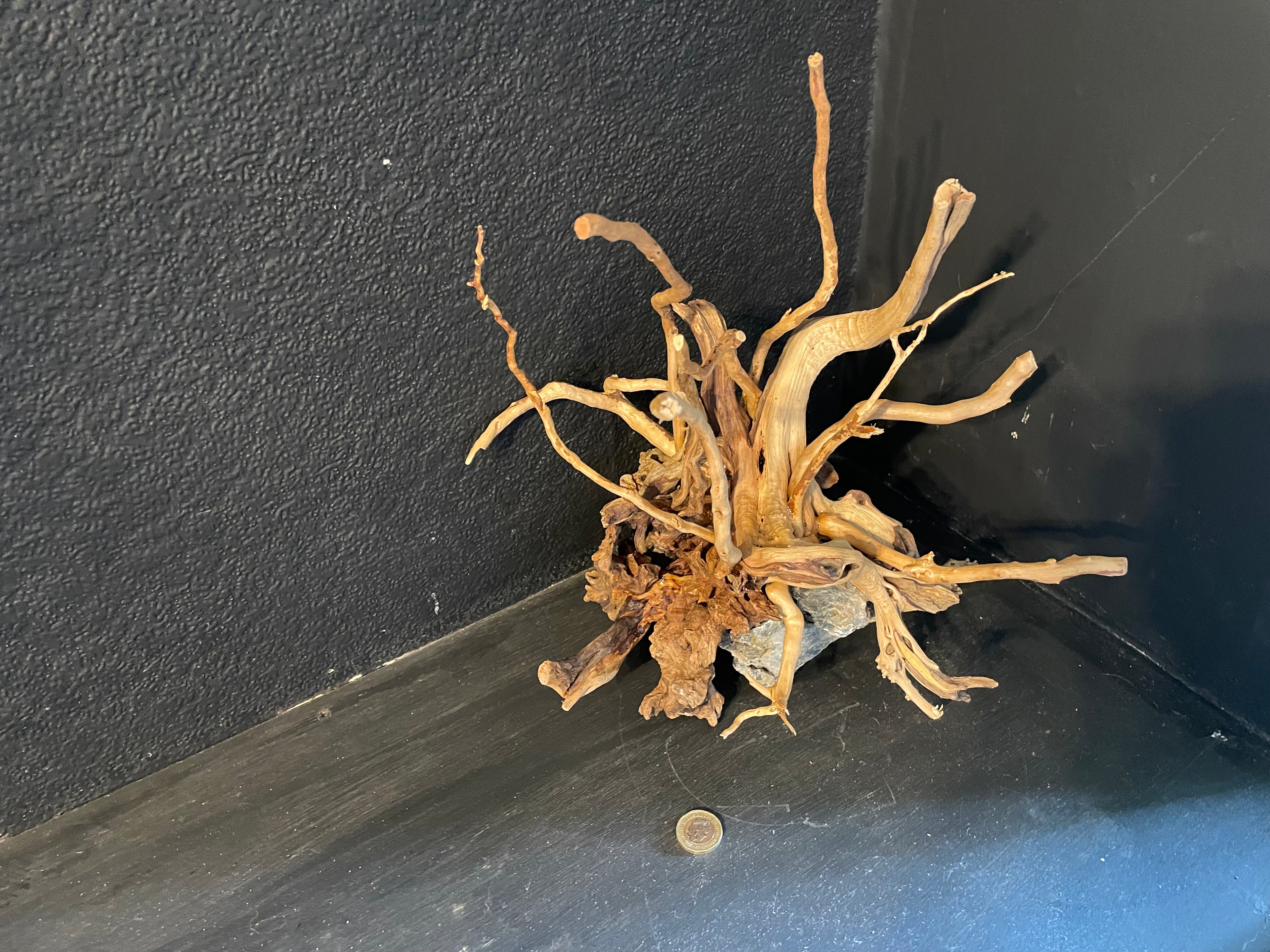Aquarium Driftwood, Handcrafted Aquascape Unique Decoration - Cernunnos Tangle
