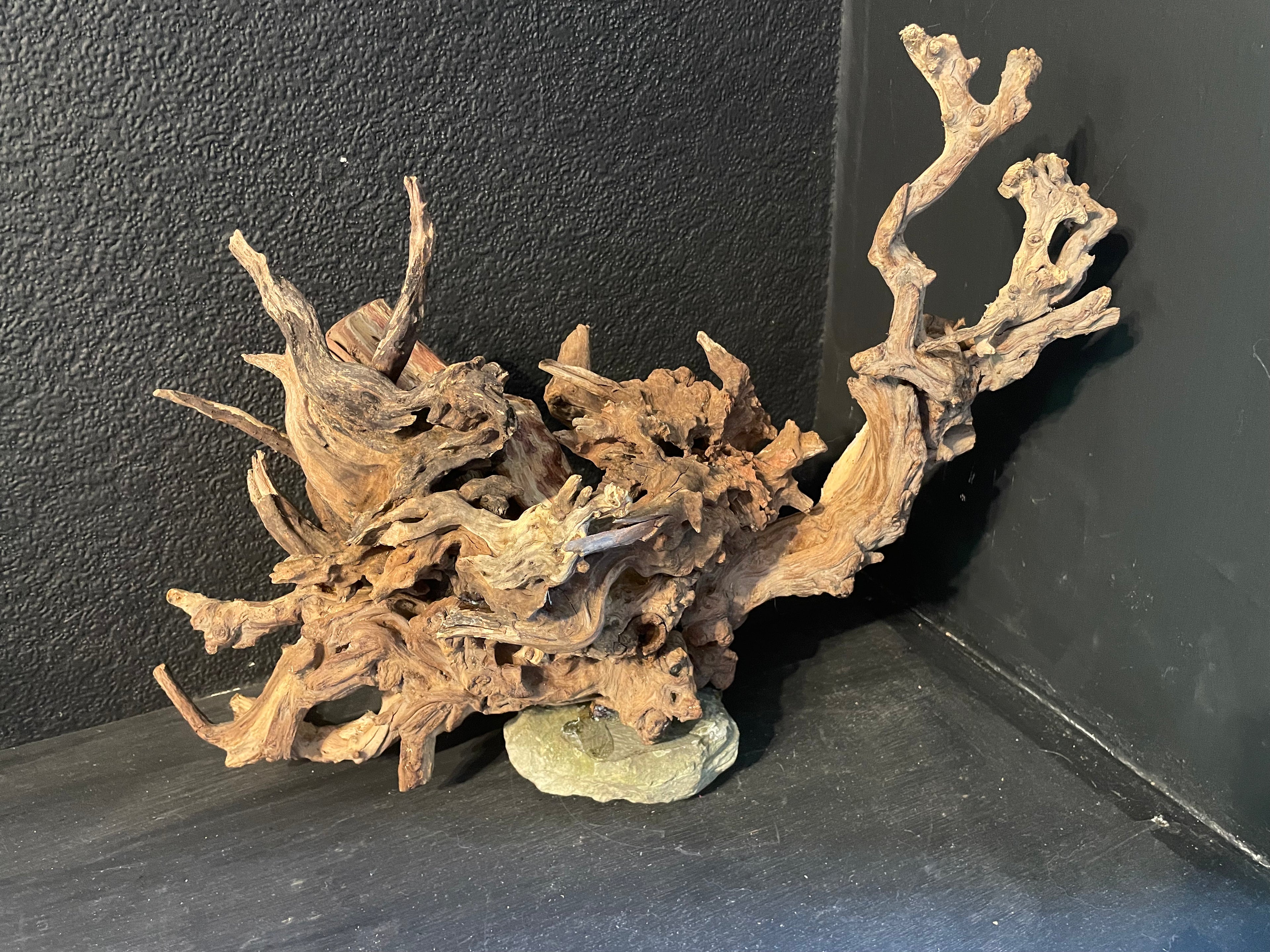 Aquarium Driftwood Handcrafted Aquascape Unique -The Heart Of Yggdrasil
