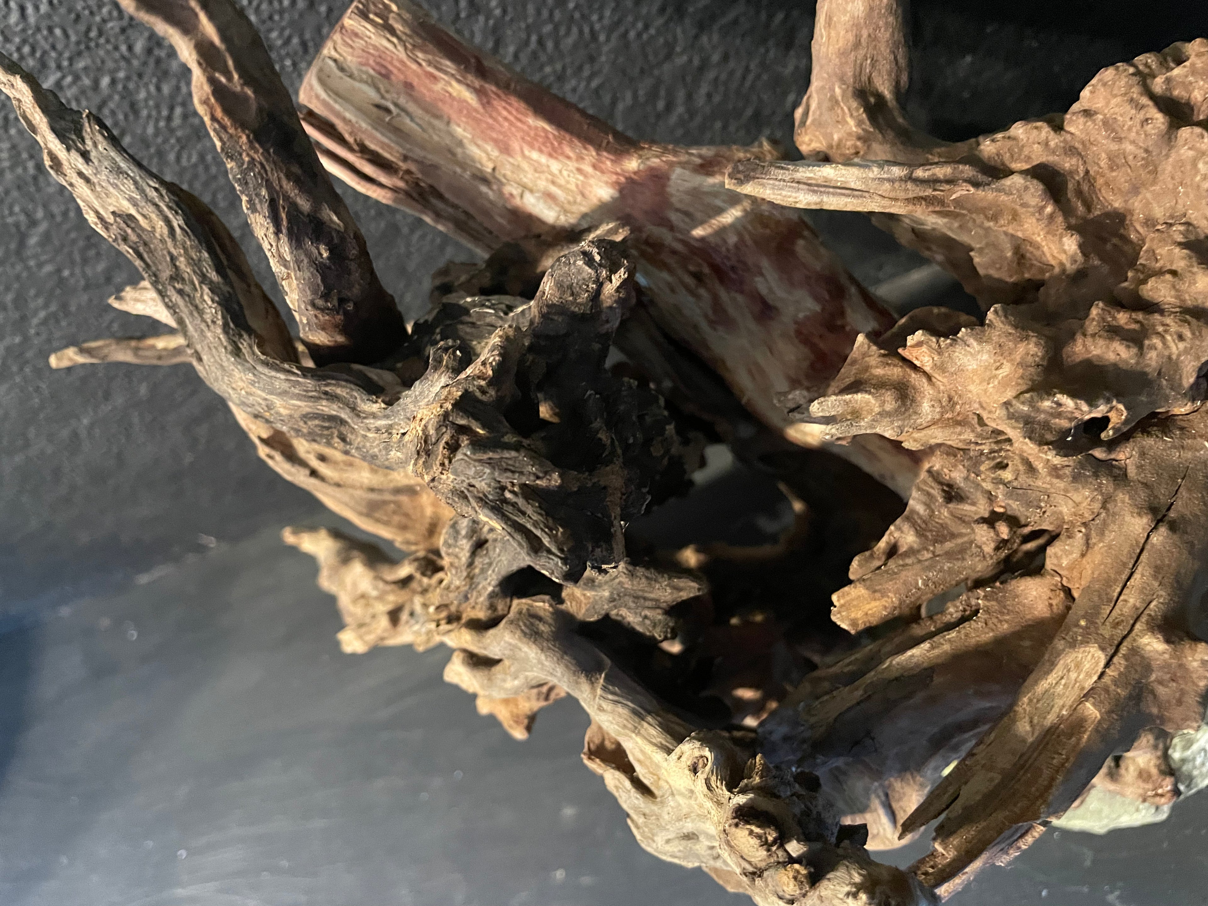 Aquarium Driftwood Handcrafted Aquascape Unique -The Heart Of Yggdrasil