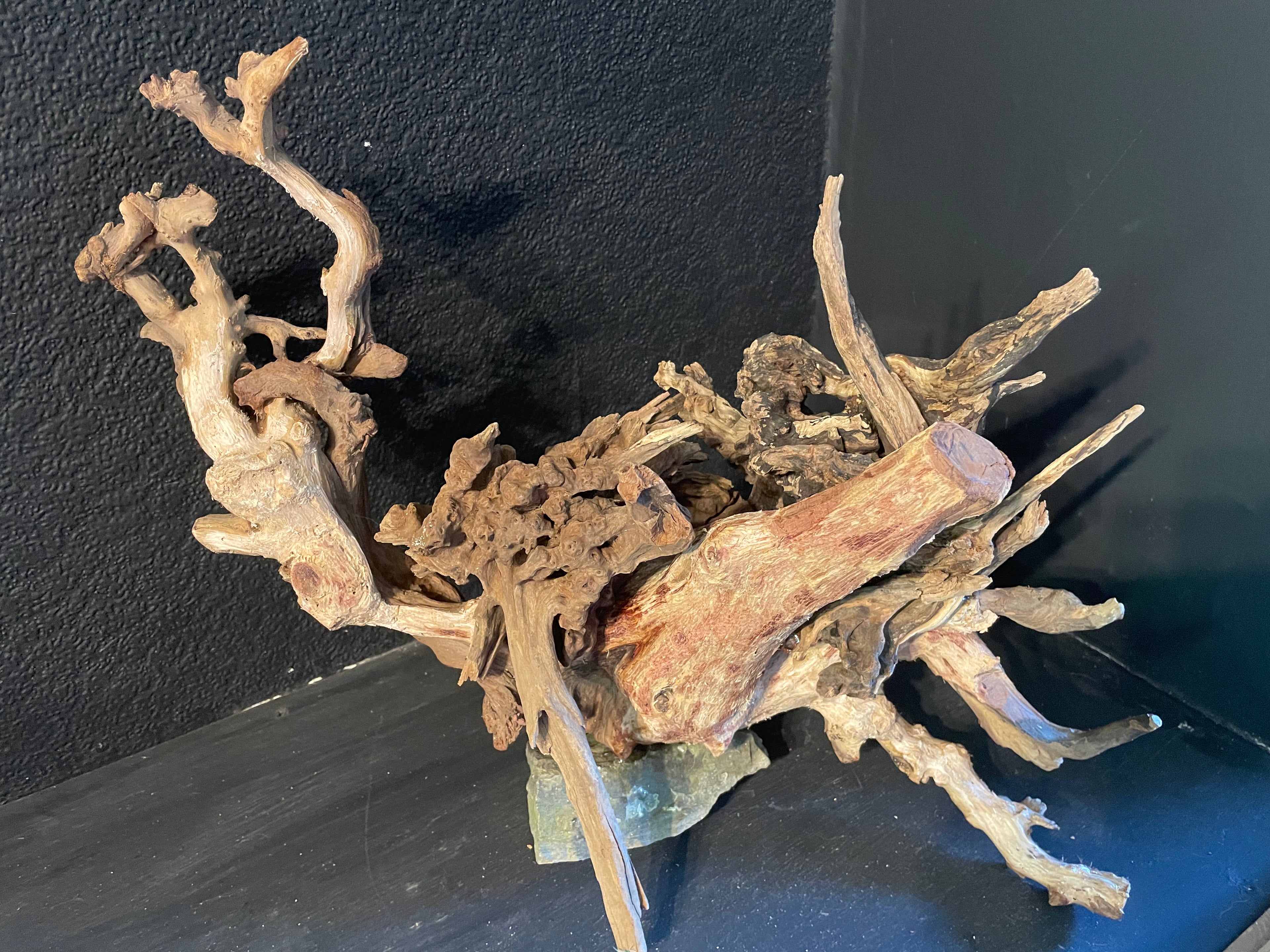 Aquarium Driftwood Handcrafted Aquascape Unique -The Heart Of Yggdrasil