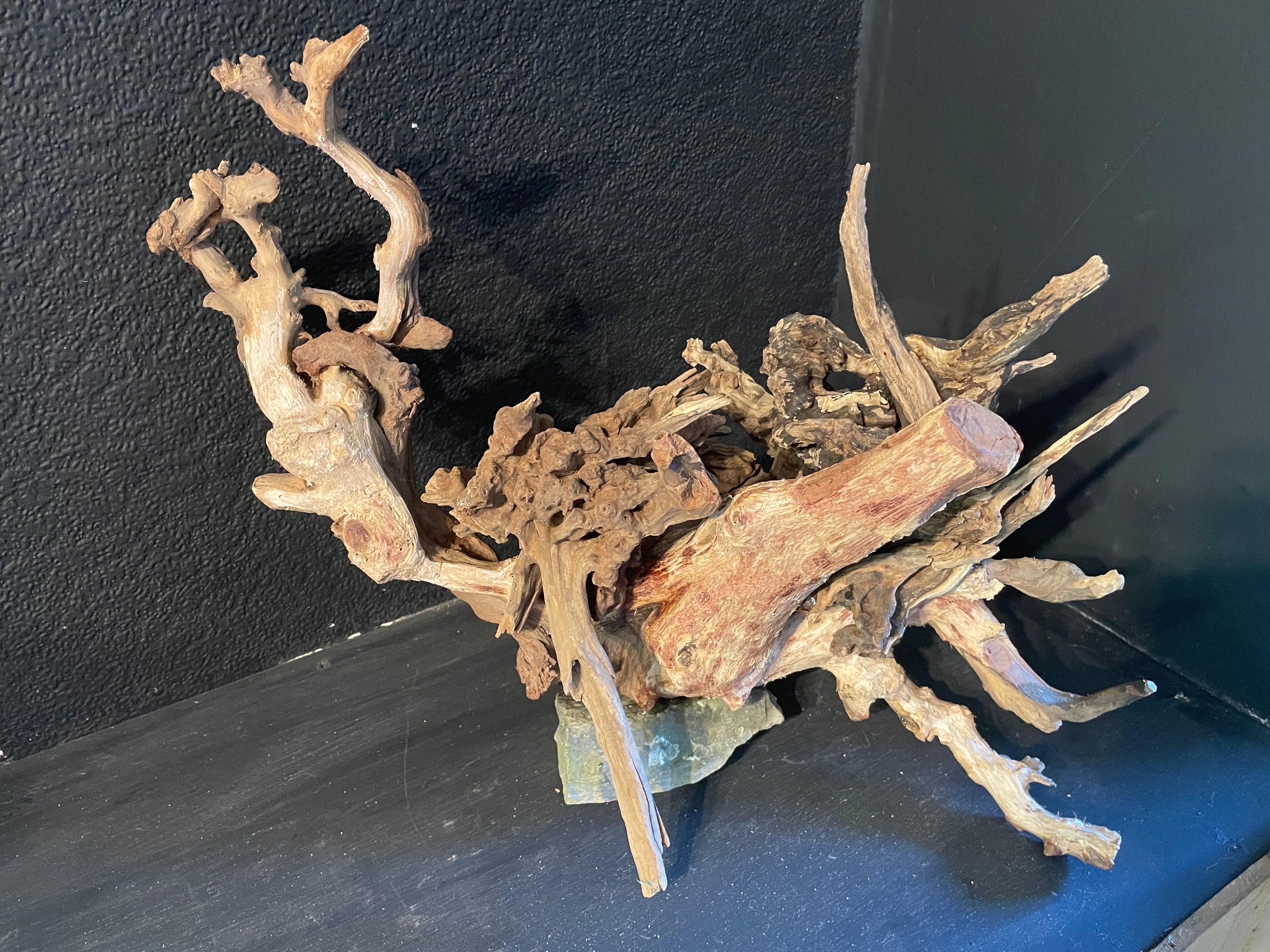 Aquarium Driftwood Handcrafted Aquascape Unique -The Heart Of Yggdrasil