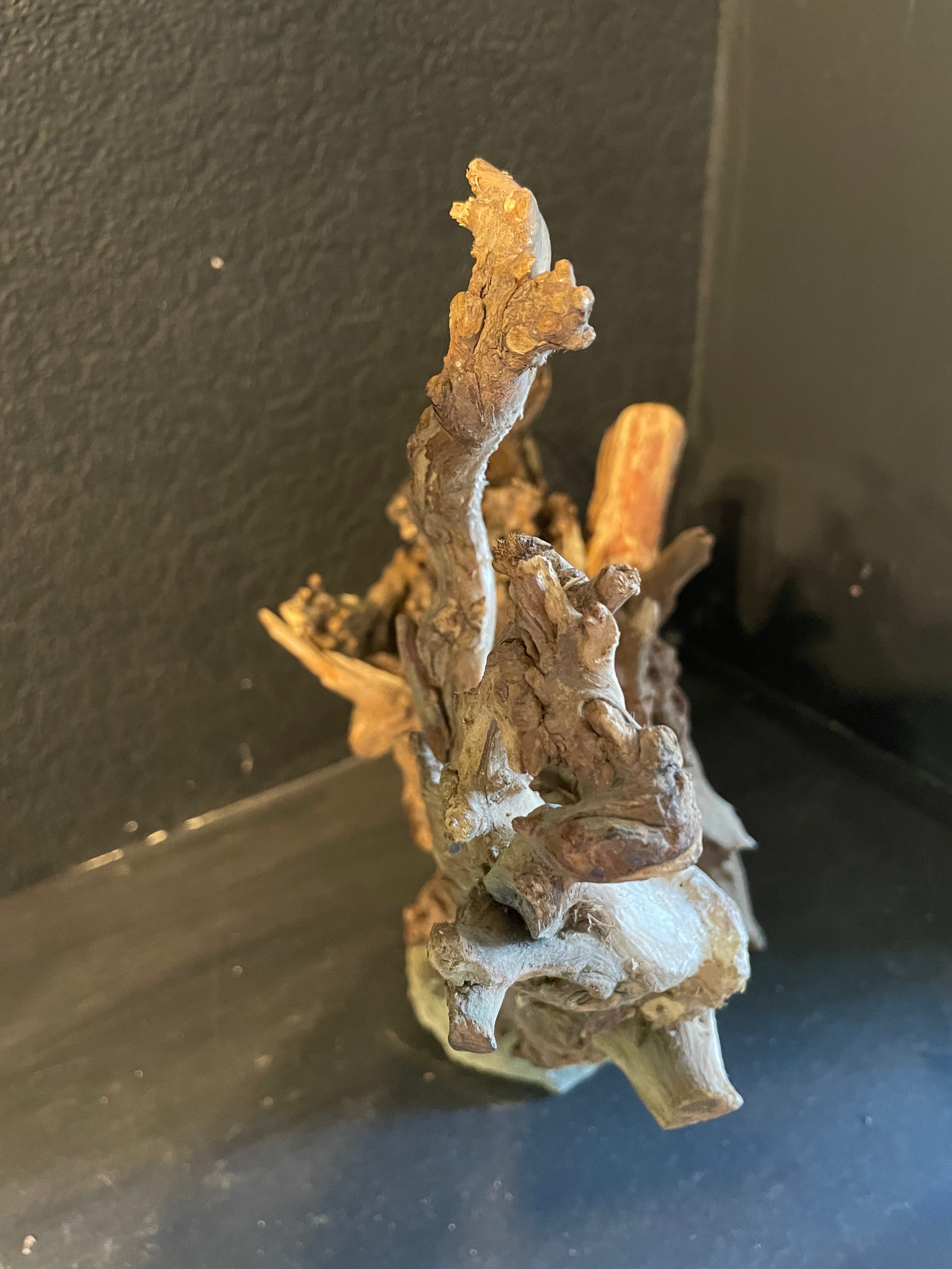 Aquarium Driftwood Handcrafted Aquascape Unique -The Heart Of Yggdrasil