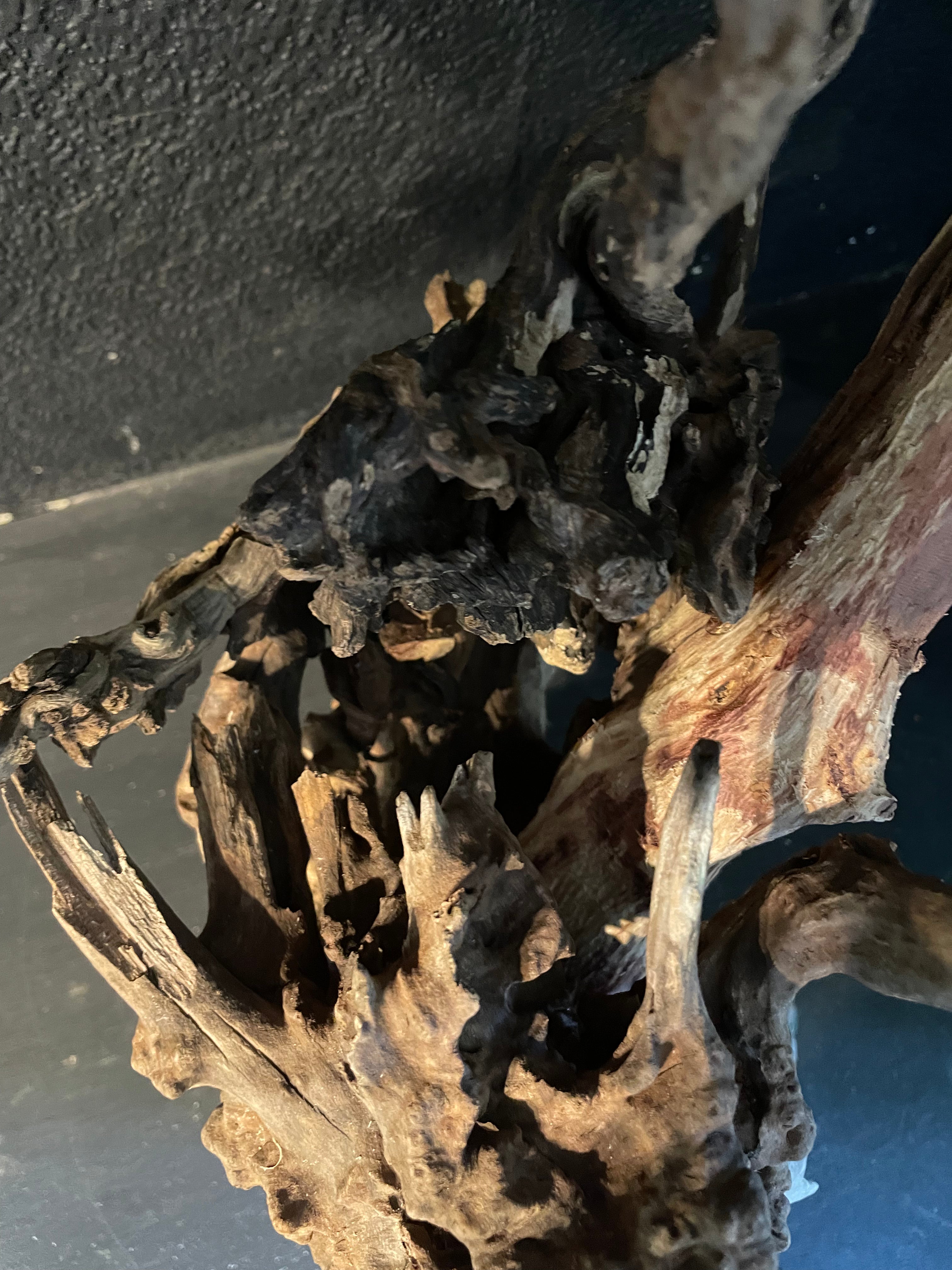 Aquarium Driftwood Handcrafted Aquascape Unique -The Heart Of Yggdrasil