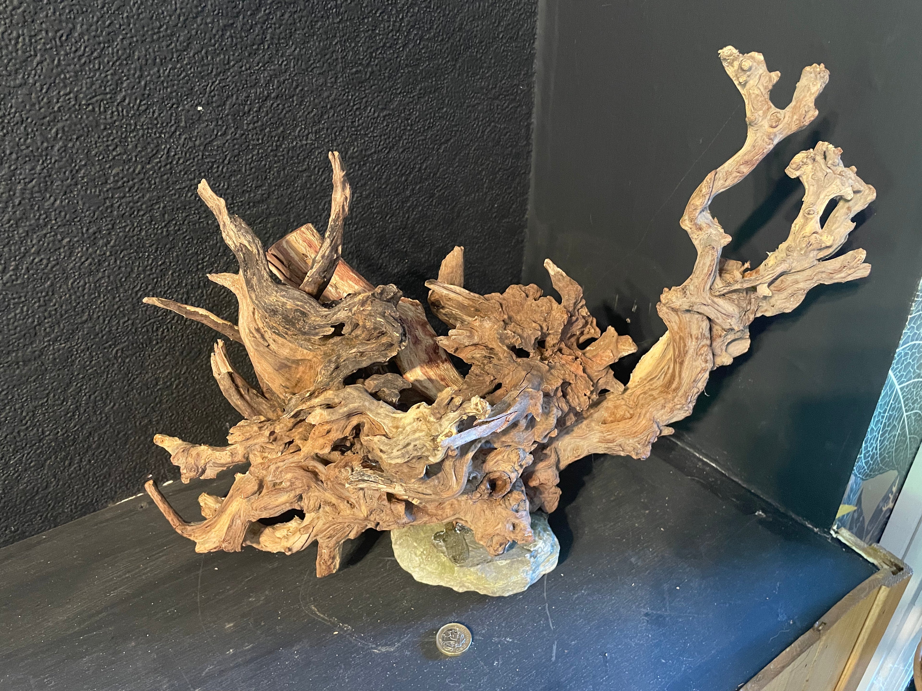 Aquarium Driftwood Handcrafted Aquascape Unique -The Heart Of Yggdrasil
