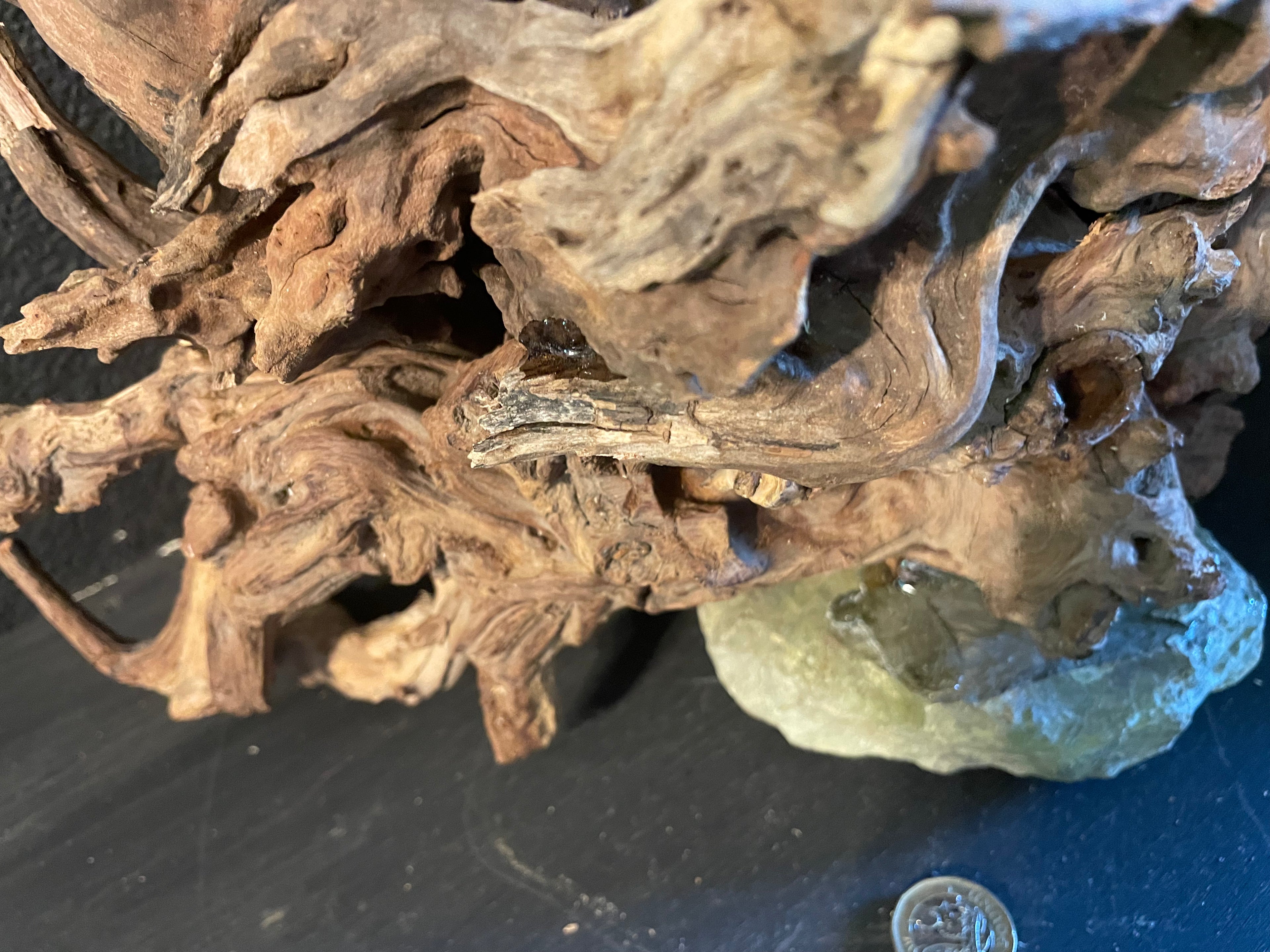 Aquarium Driftwood Handcrafted Aquascape Unique -The Heart Of Yggdrasil