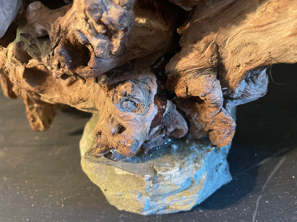 Aquarium Driftwood Handcrafted Aquascape Unique -The Heart Of Yggdrasil