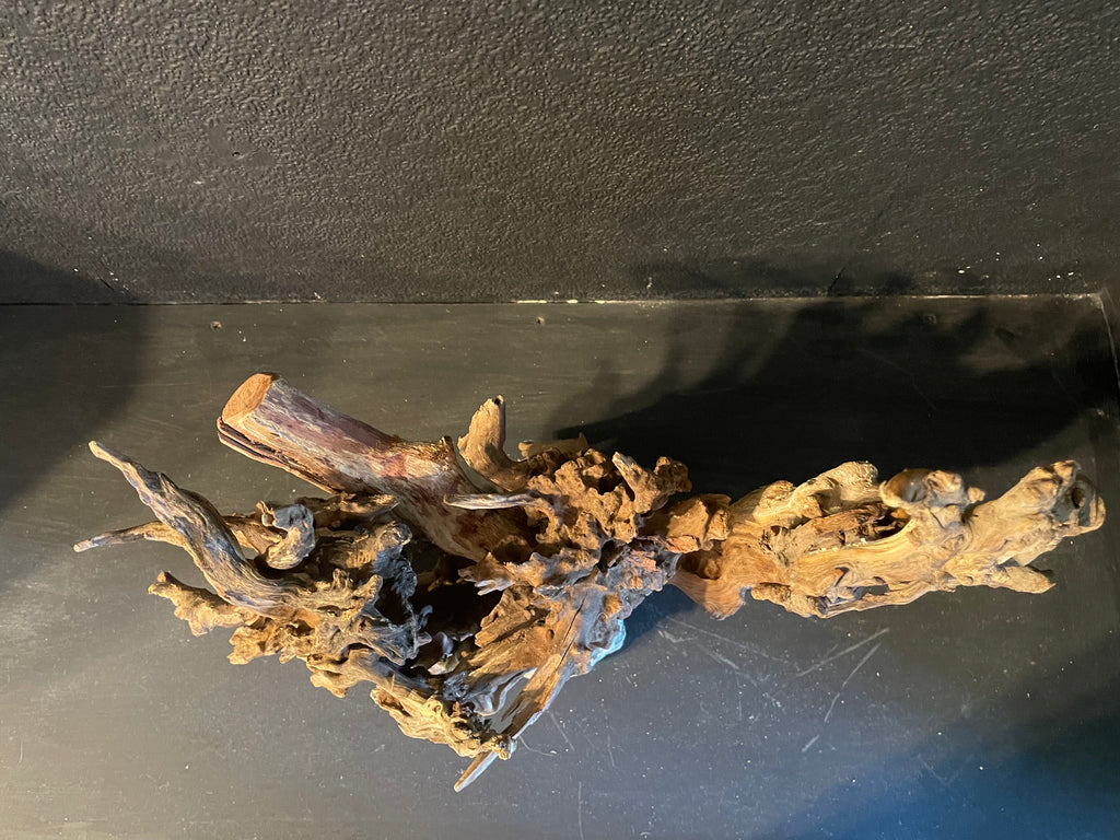 Aquarium Driftwood Handcrafted Aquascape Unique -The Heart Of Yggdrasil
